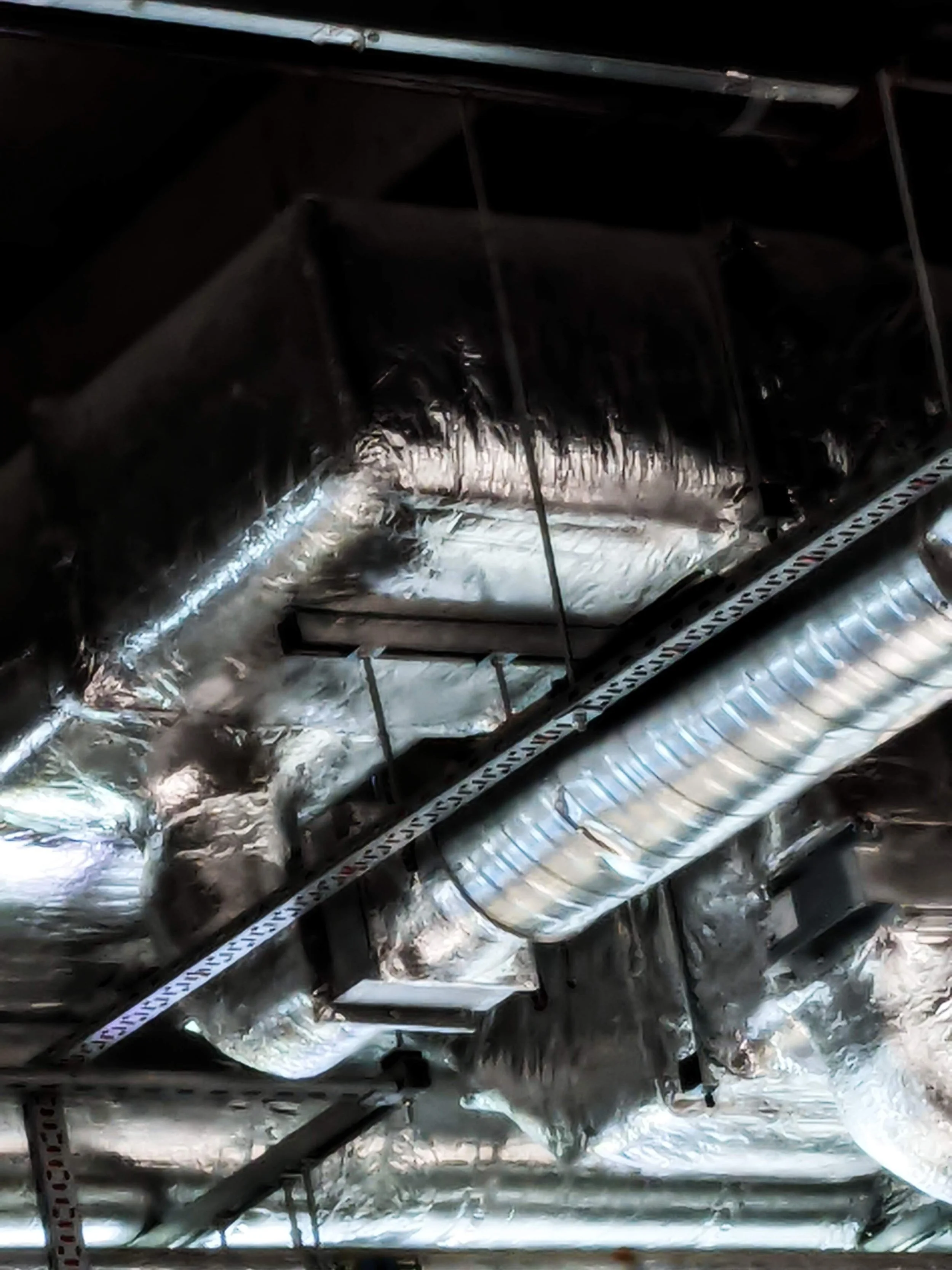 Copy of 1658687867317.jpg