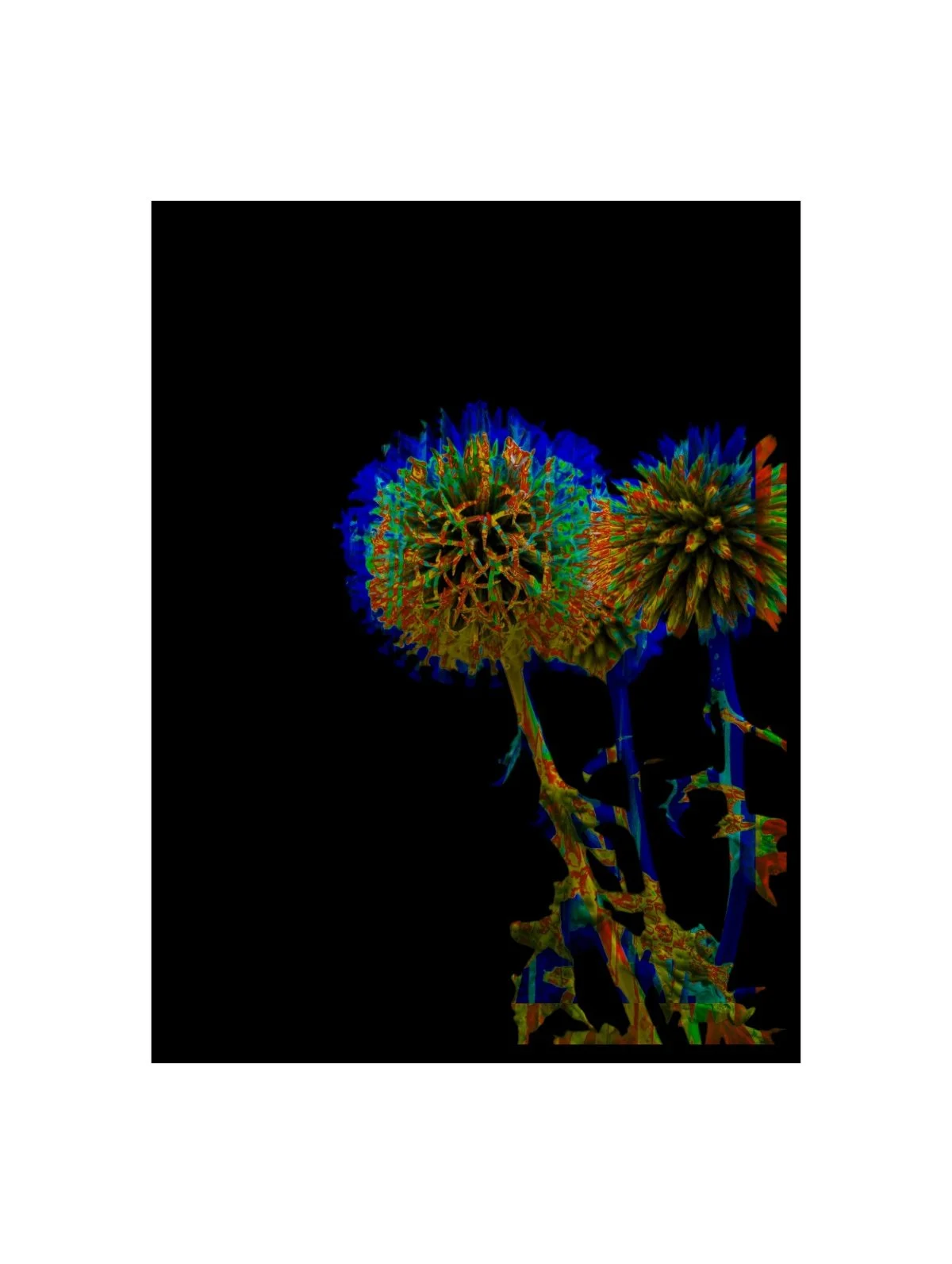 Copy of PXL_20250723_105442941 (1) (1).jpg