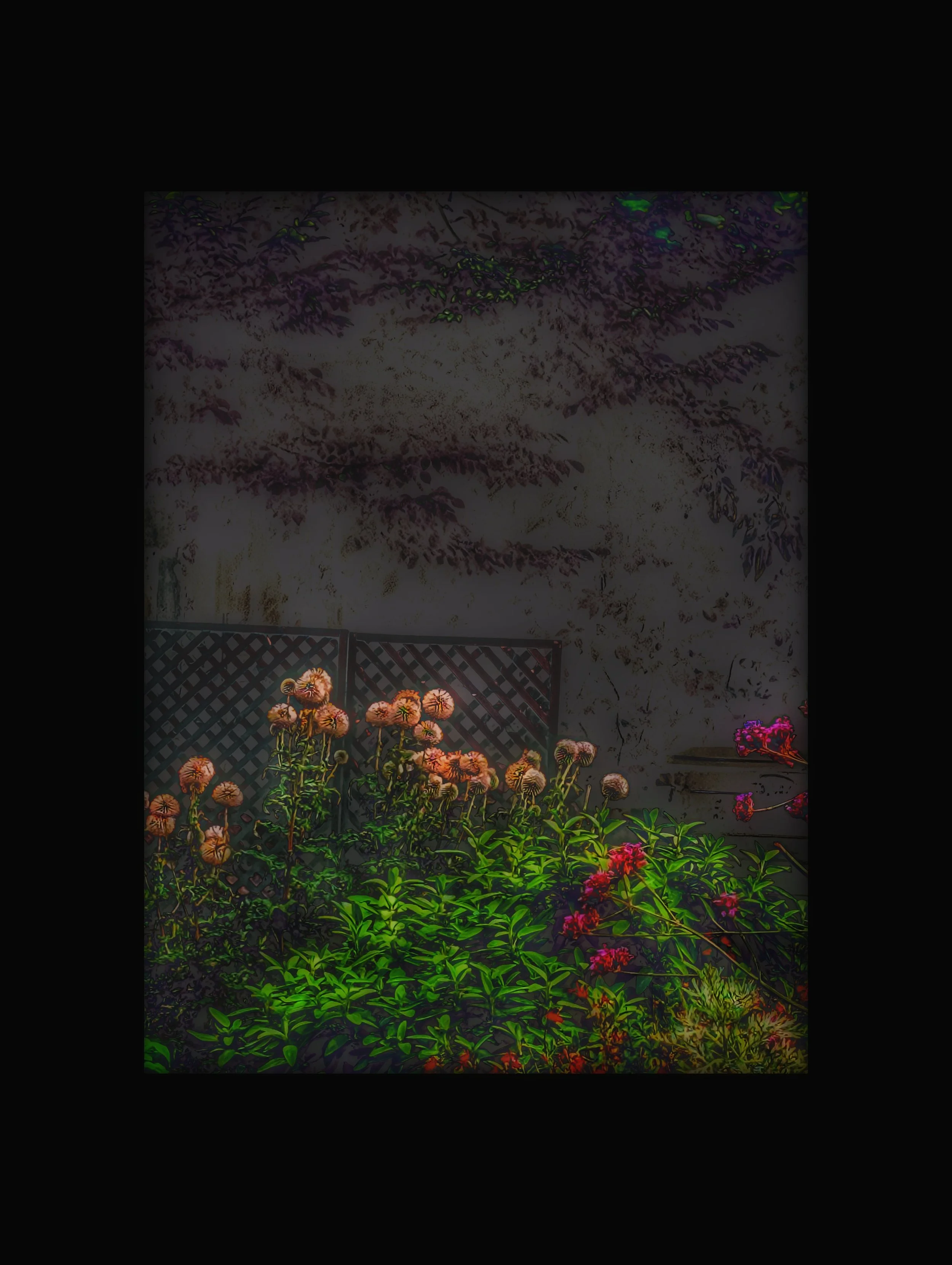 Copy of PXL_20250723_105222039.jpg