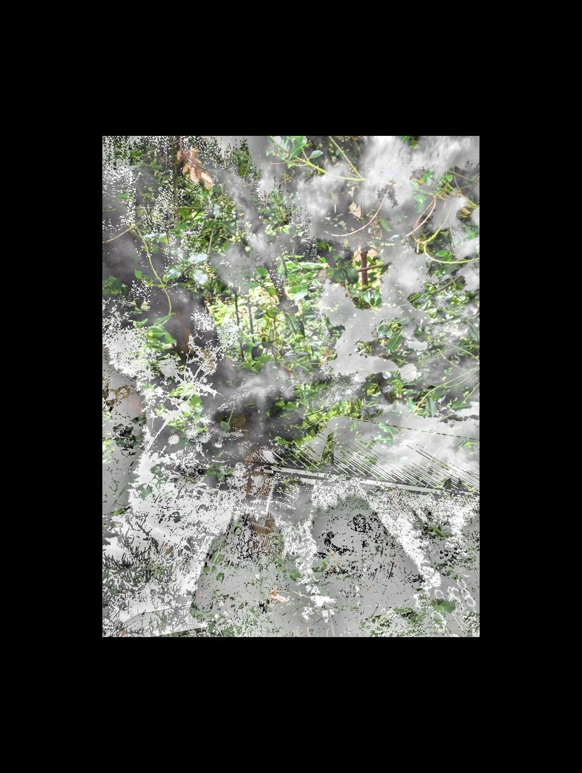 Copy of PXL_20250723_104624717.jpg