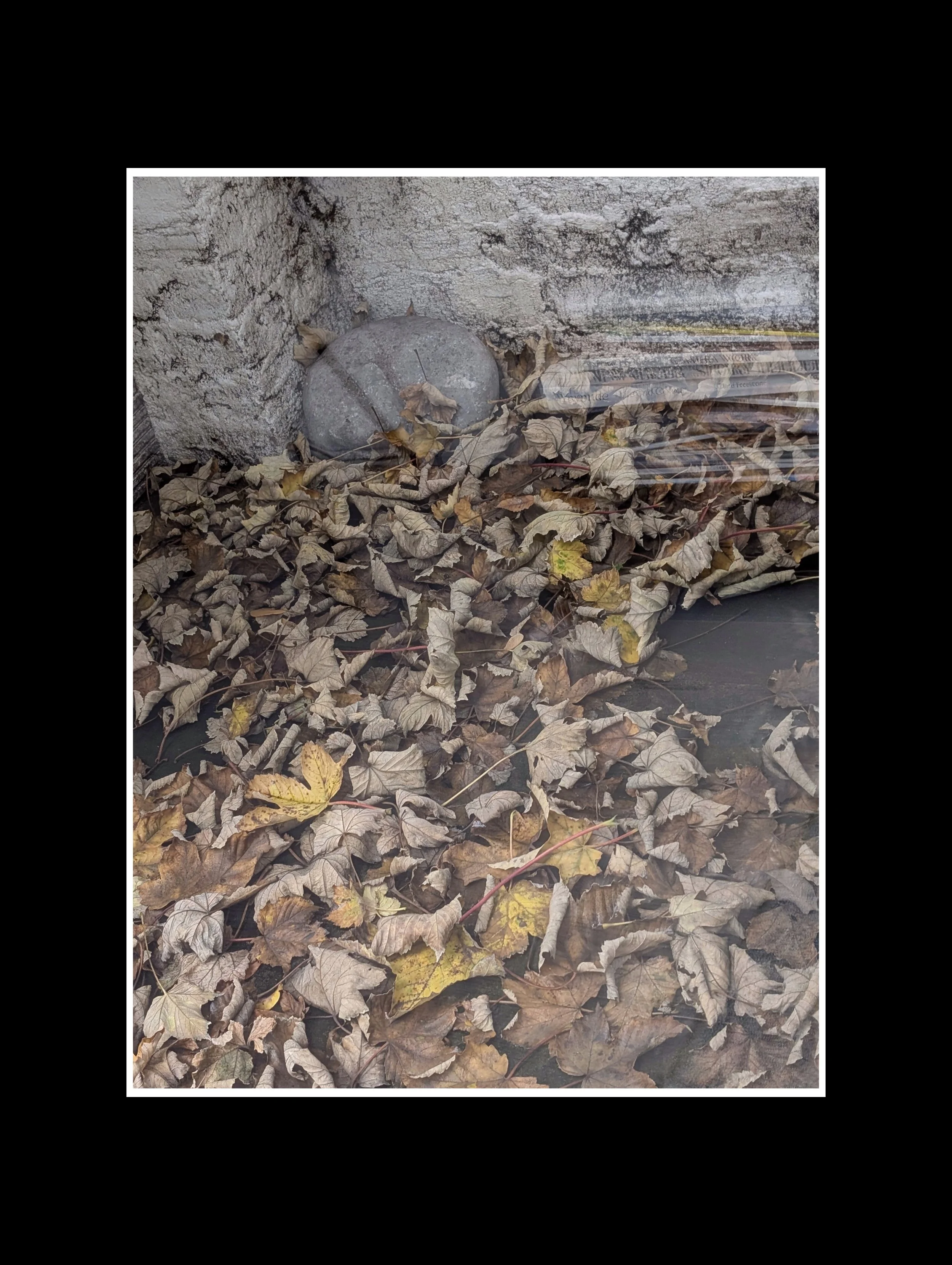 PXL_20251103_115126742 (1).jpg