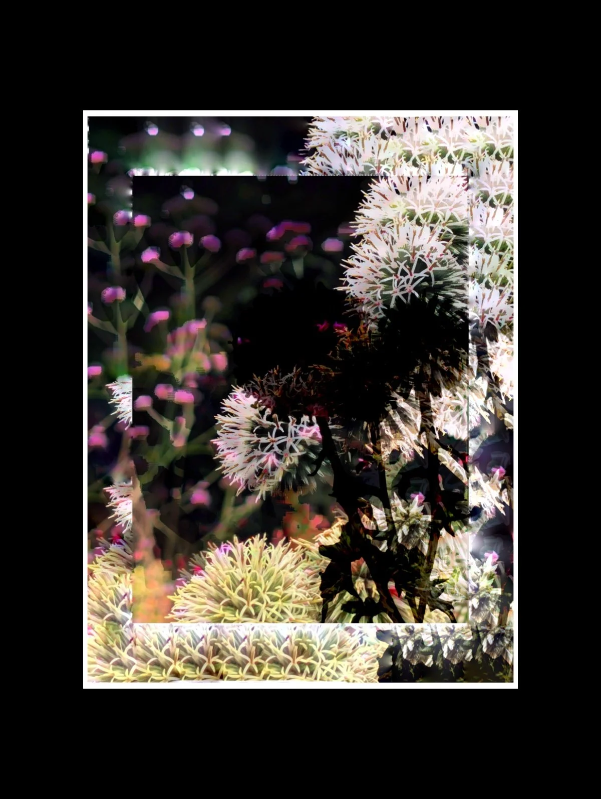 Copy of PXL_20250723_105442941 (1).jpg