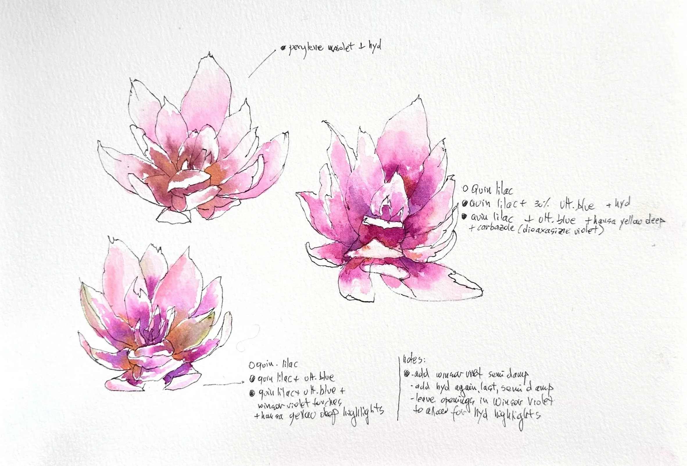 The Fogpatch dahlia: Finding the right light, one petal at a time