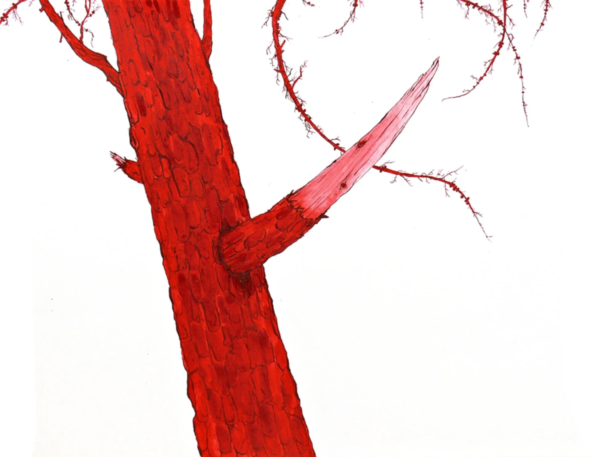 nothing to do with the odd terror.jpg