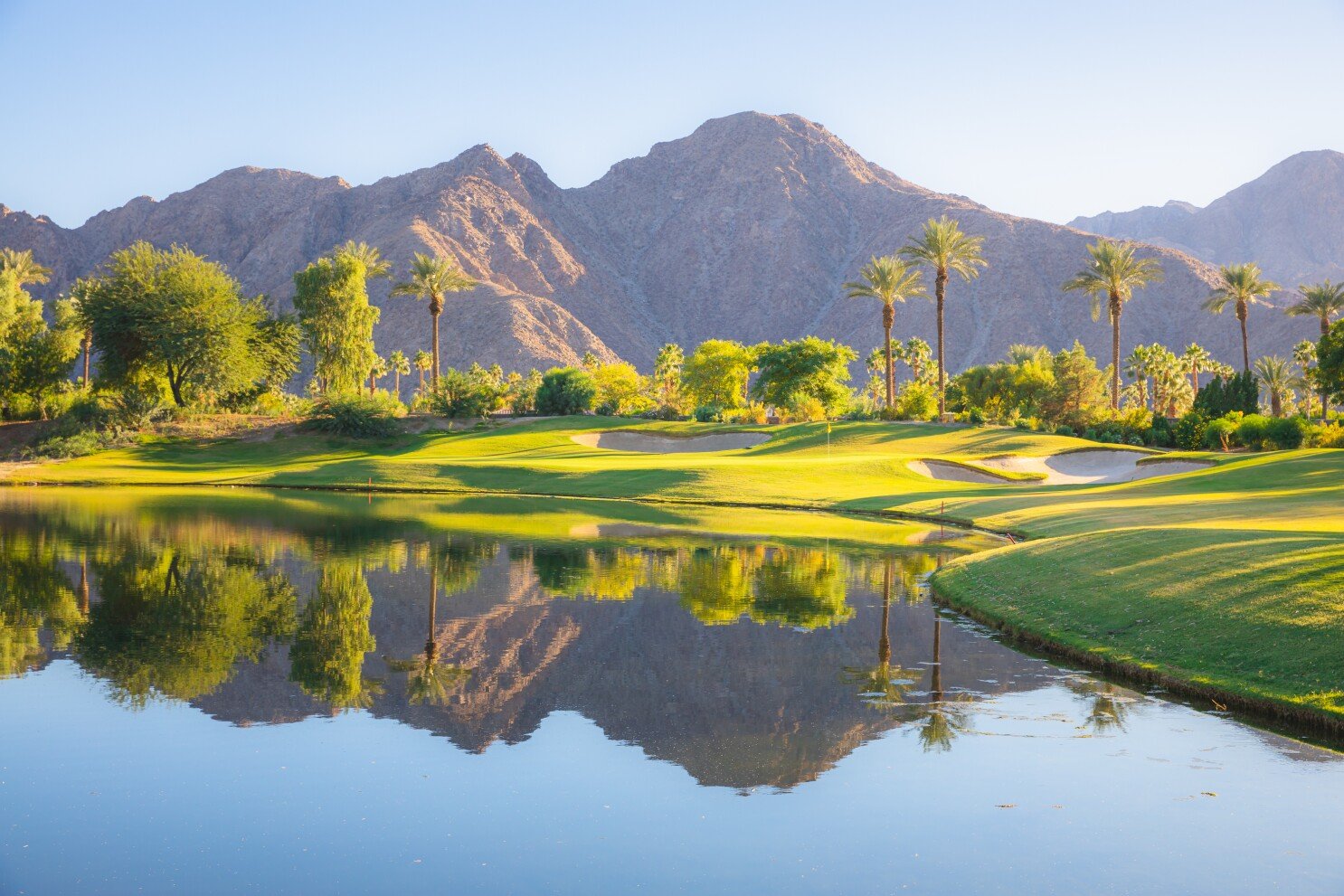 Collective Connect: Palm Springs