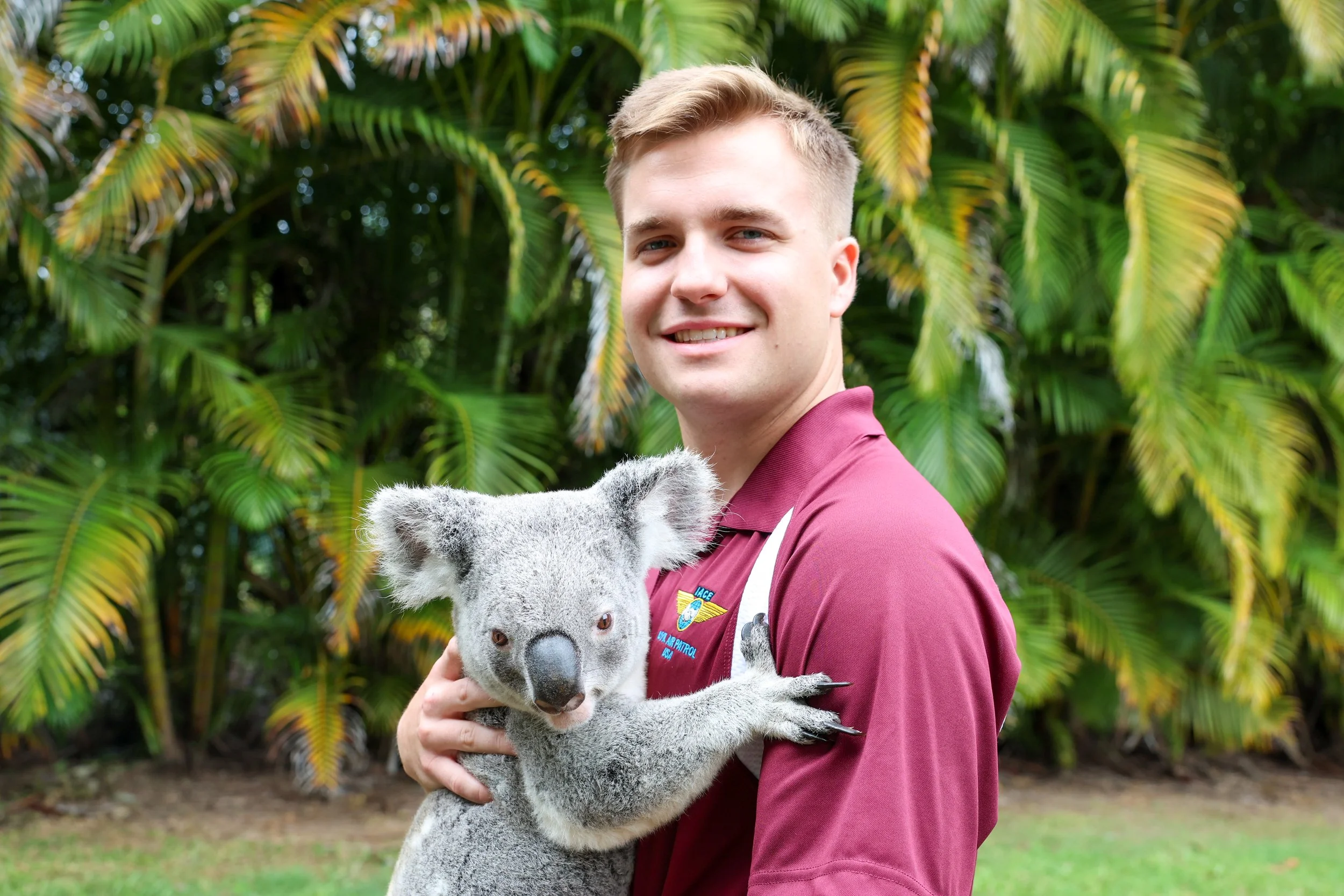 A person holding a koala in front of lush greenery.
