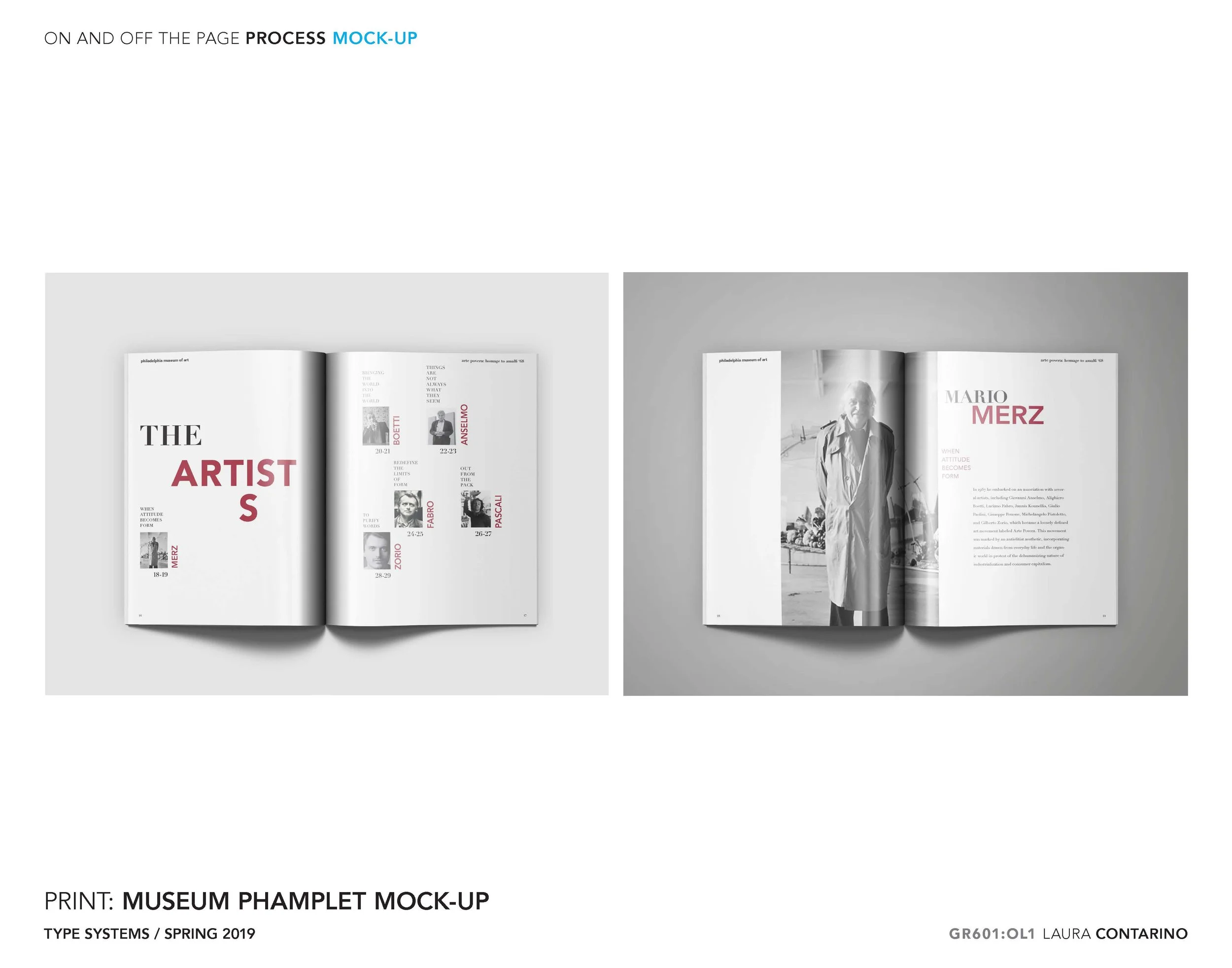 11_1_Laura_Contarino_Page_31 - Copy.jpg