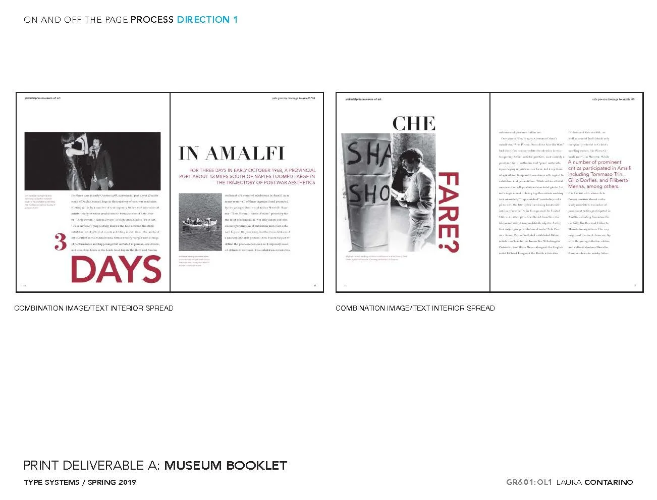 11_1_Laura_Contarino_Page_17 - Copy.jpg