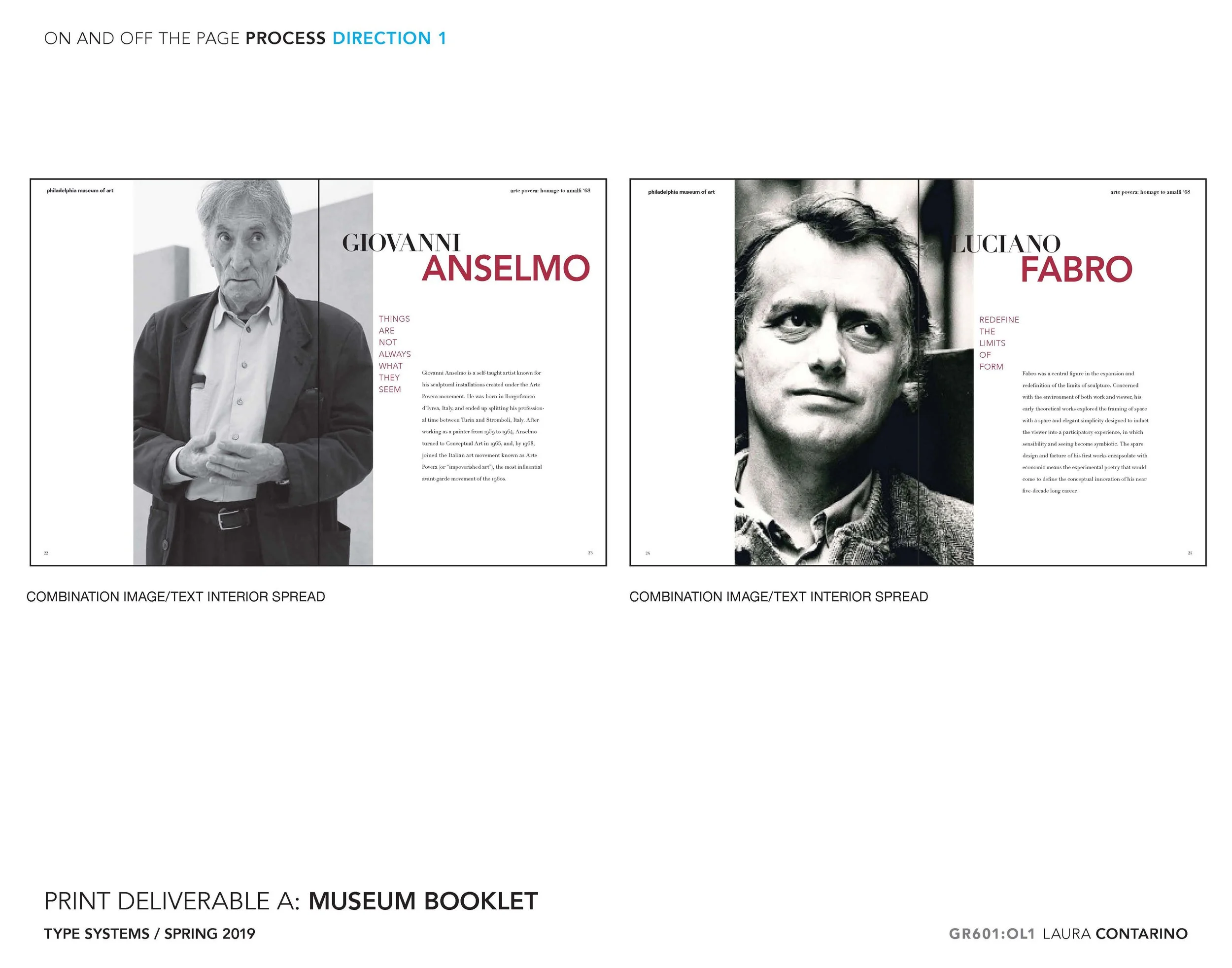 11_1_Laura_Contarino_Page_20 - Copy.jpg