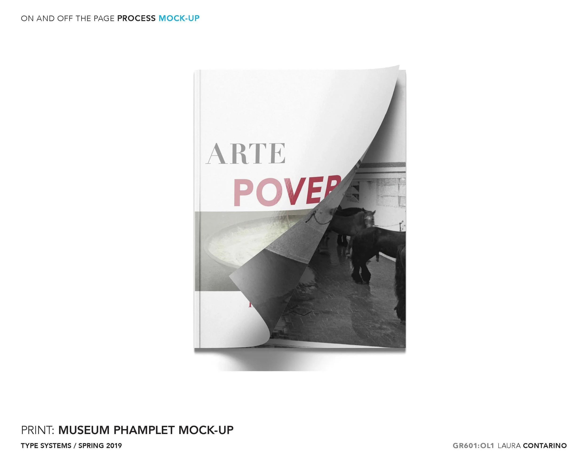 11_1_Laura_Contarino_Page_26 - Copy.jpg