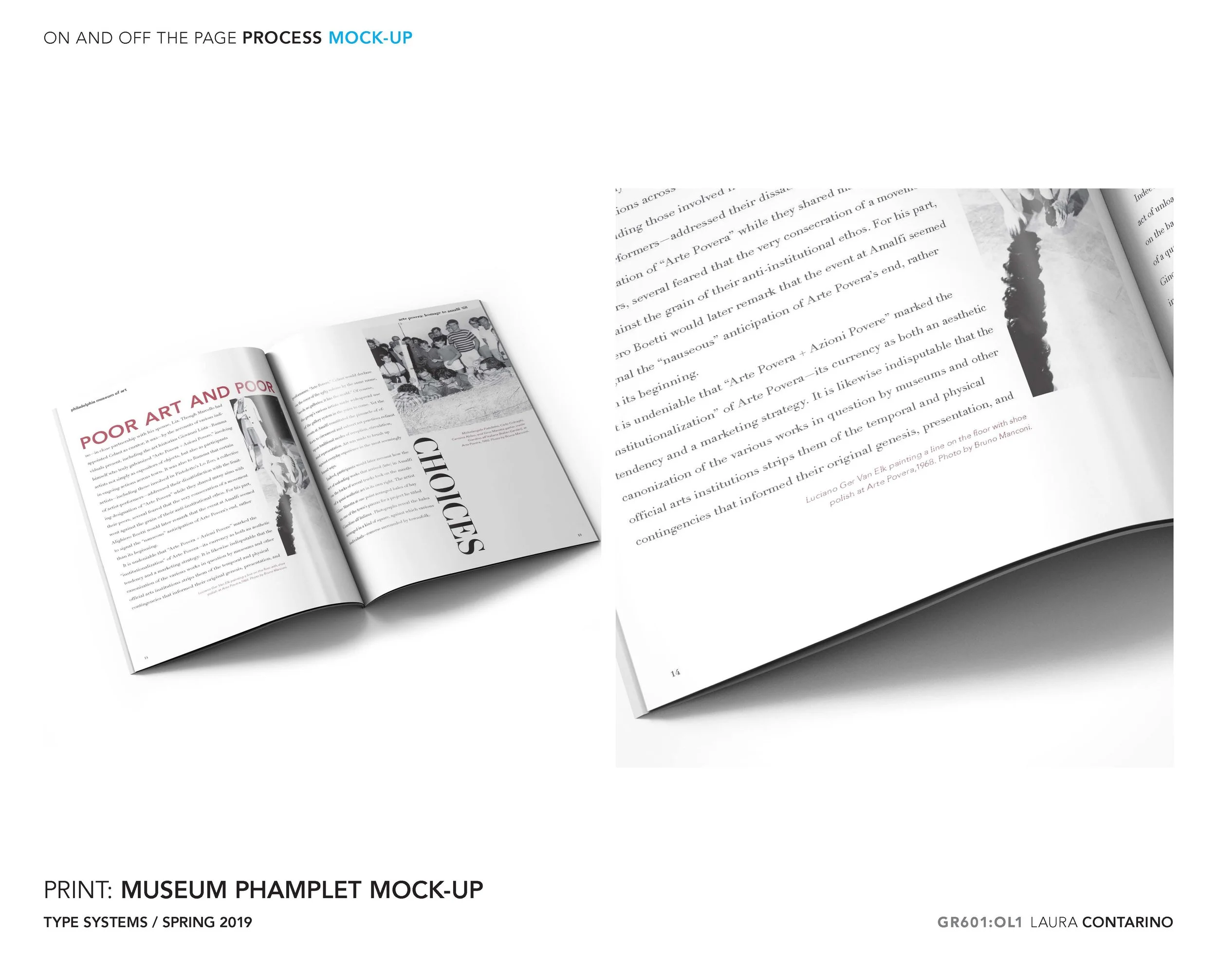 11_1_Laura_Contarino_Page_30 - Copy.jpg