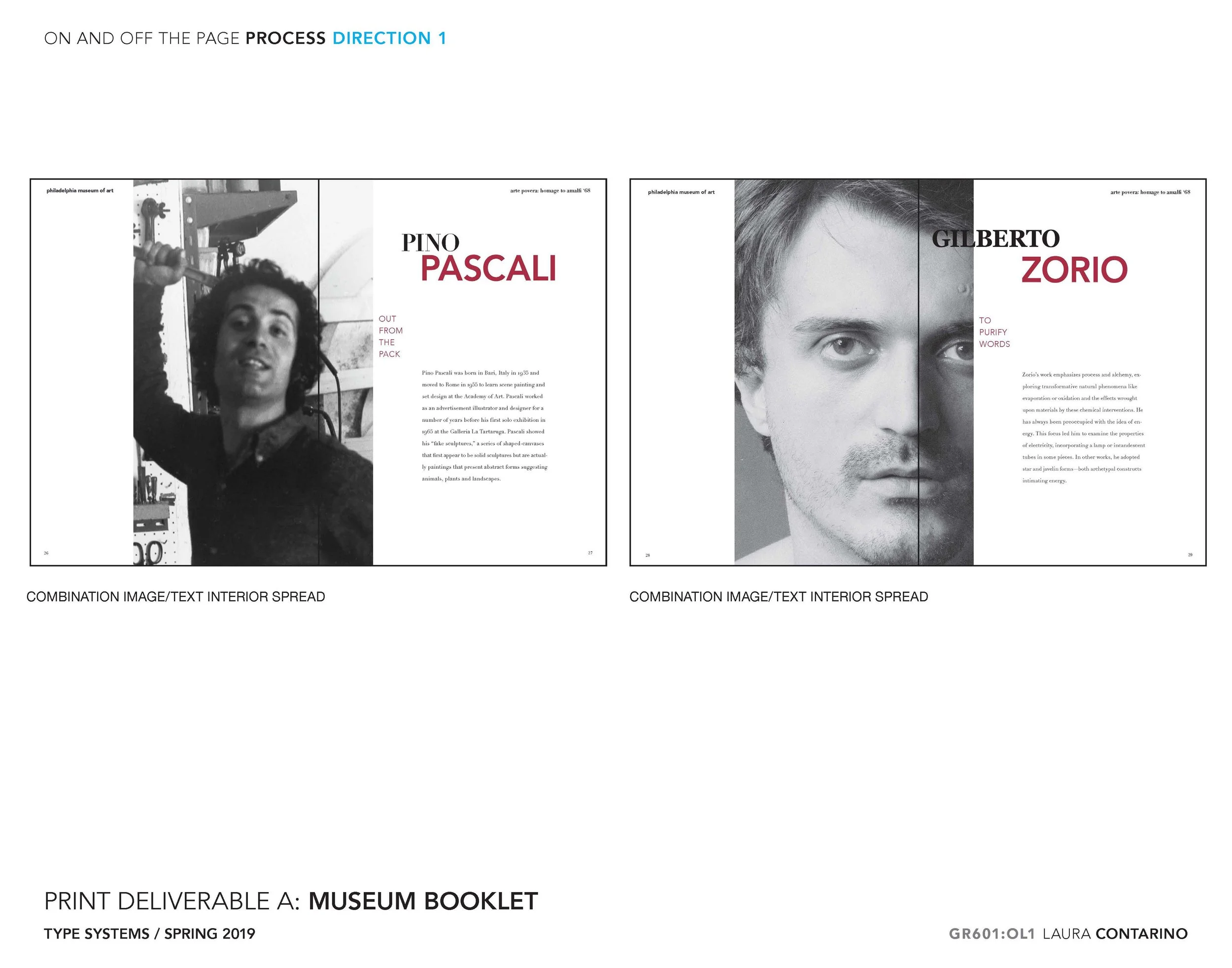 11_1_Laura_Contarino_Page_21 - Copy.jpg