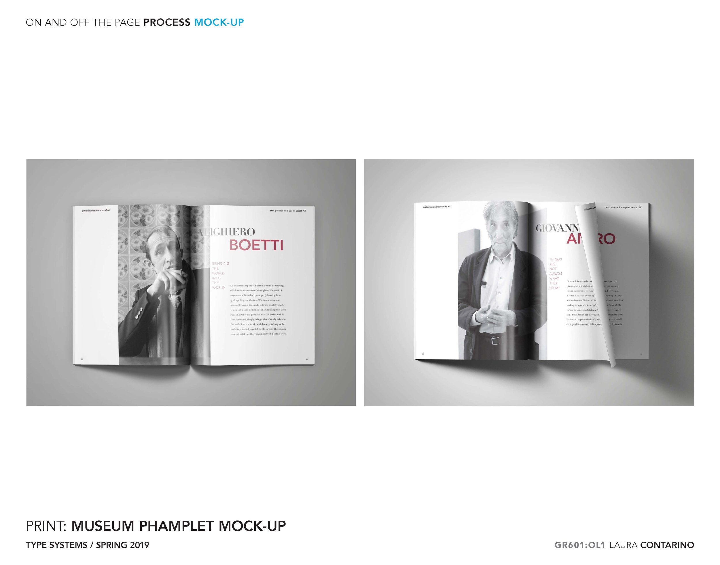 11_1_Laura_Contarino_Page_32 - Copy.jpg