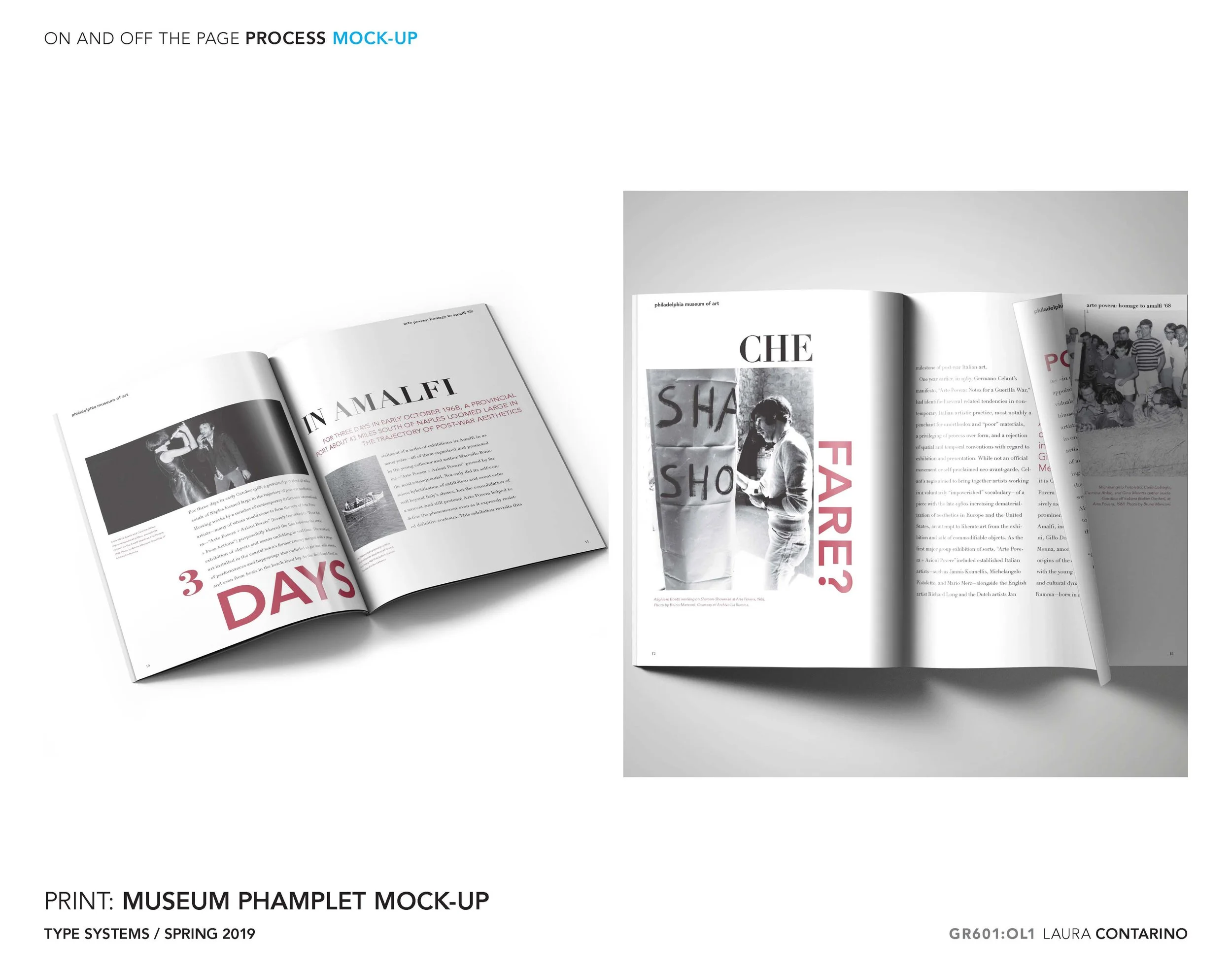 11_1_Laura_Contarino_Page_29 - Copy.jpg