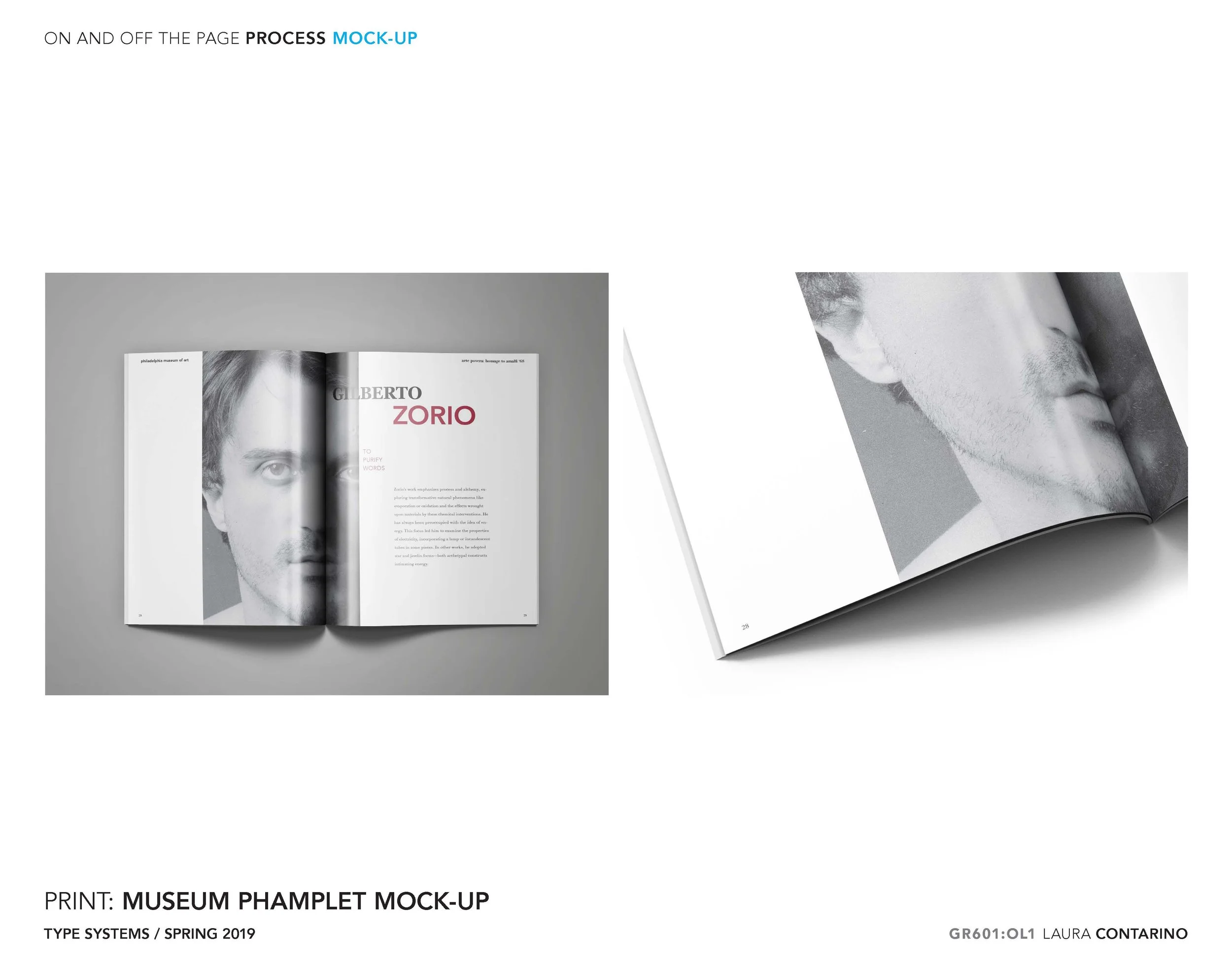 11_1_Laura_Contarino_Page_34 - Copy.jpg