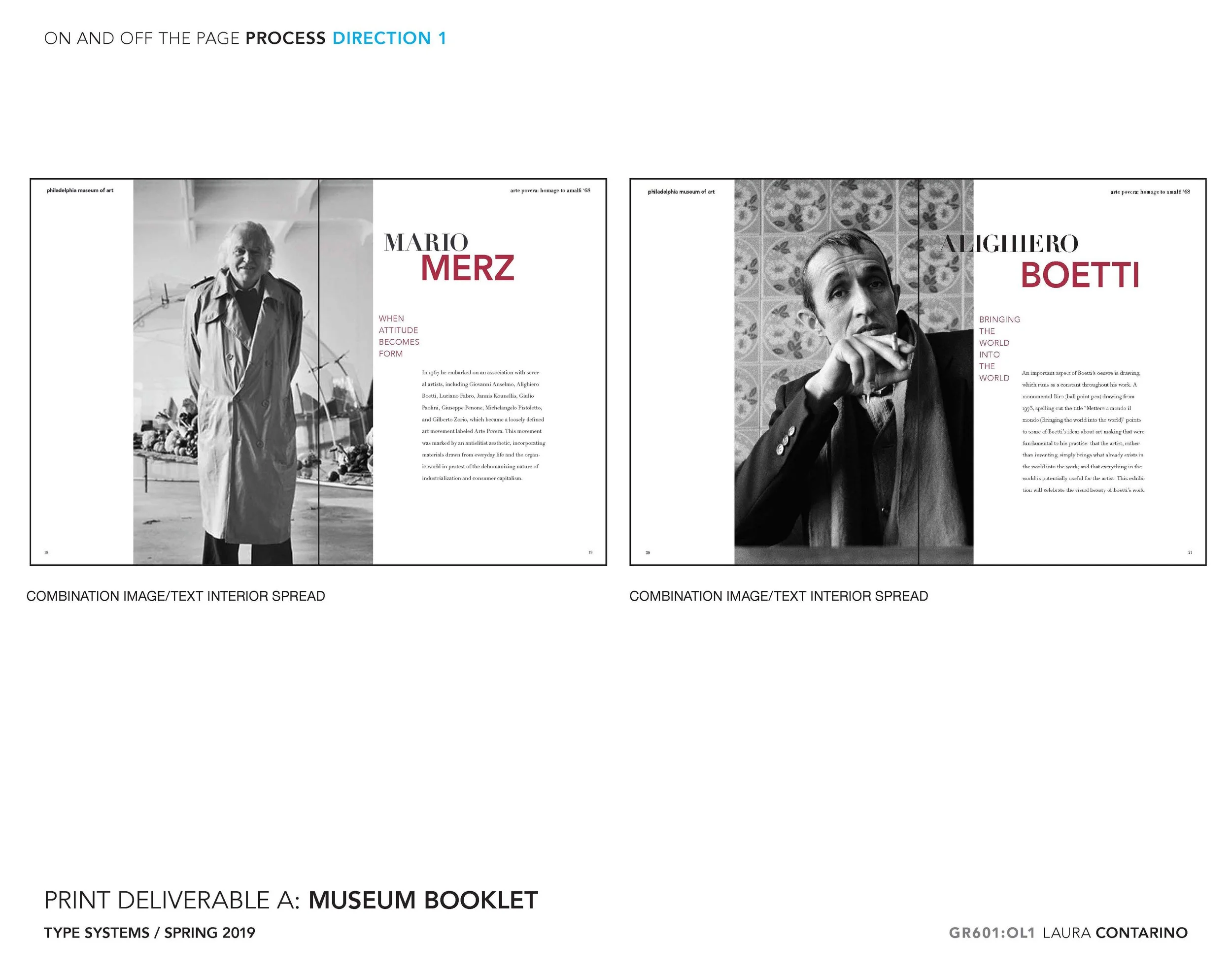 11_1_Laura_Contarino_Page_19 - Copy.jpg