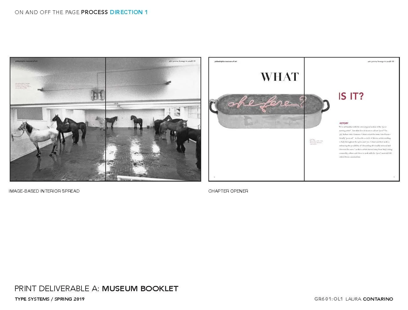 11_1_Laura_Contarino_Page_16 - Copy.jpg