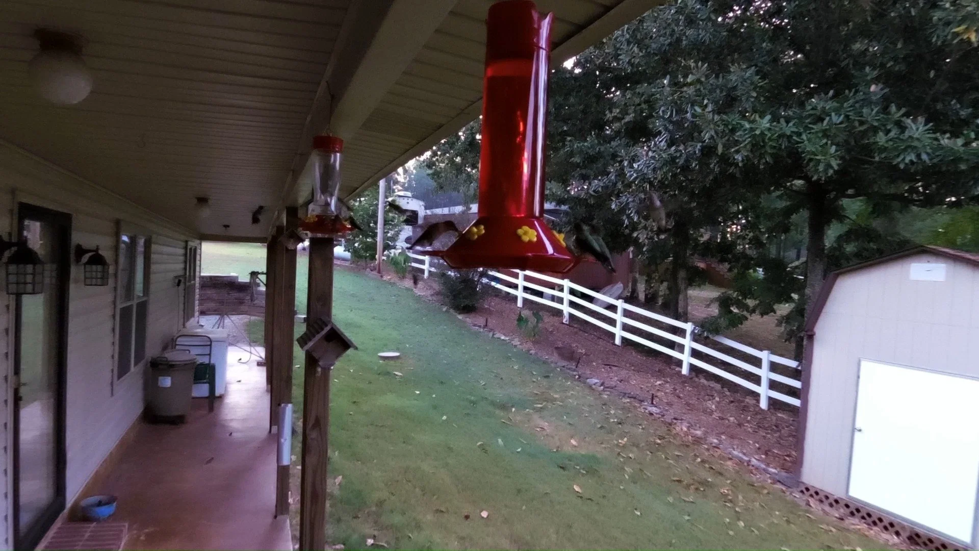 Obviously NOT my normal post. I just am baffled by the quantity of hummingbirds this year. And they drink A LOT!!! It's only about a minute but totally worth watching and listening to the chatter.
#hummingbirds #birdfeeder #wildlifephotography #bird