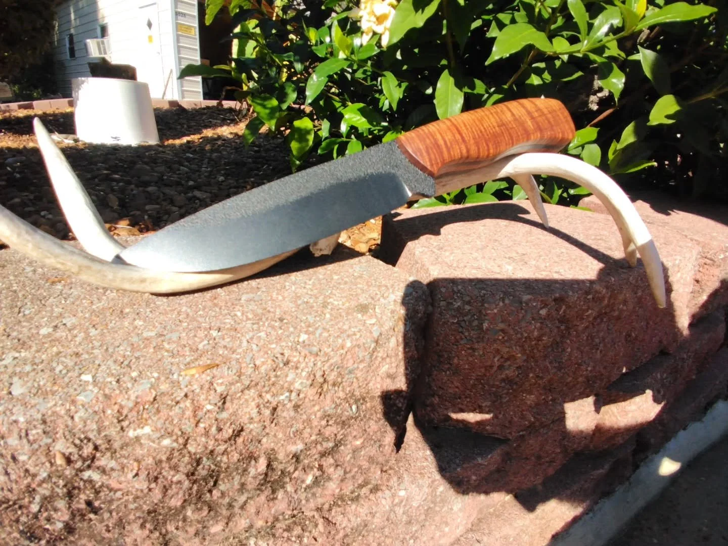 Better pictures I hope.
#knife #knifemaker #custom #blade #handmade