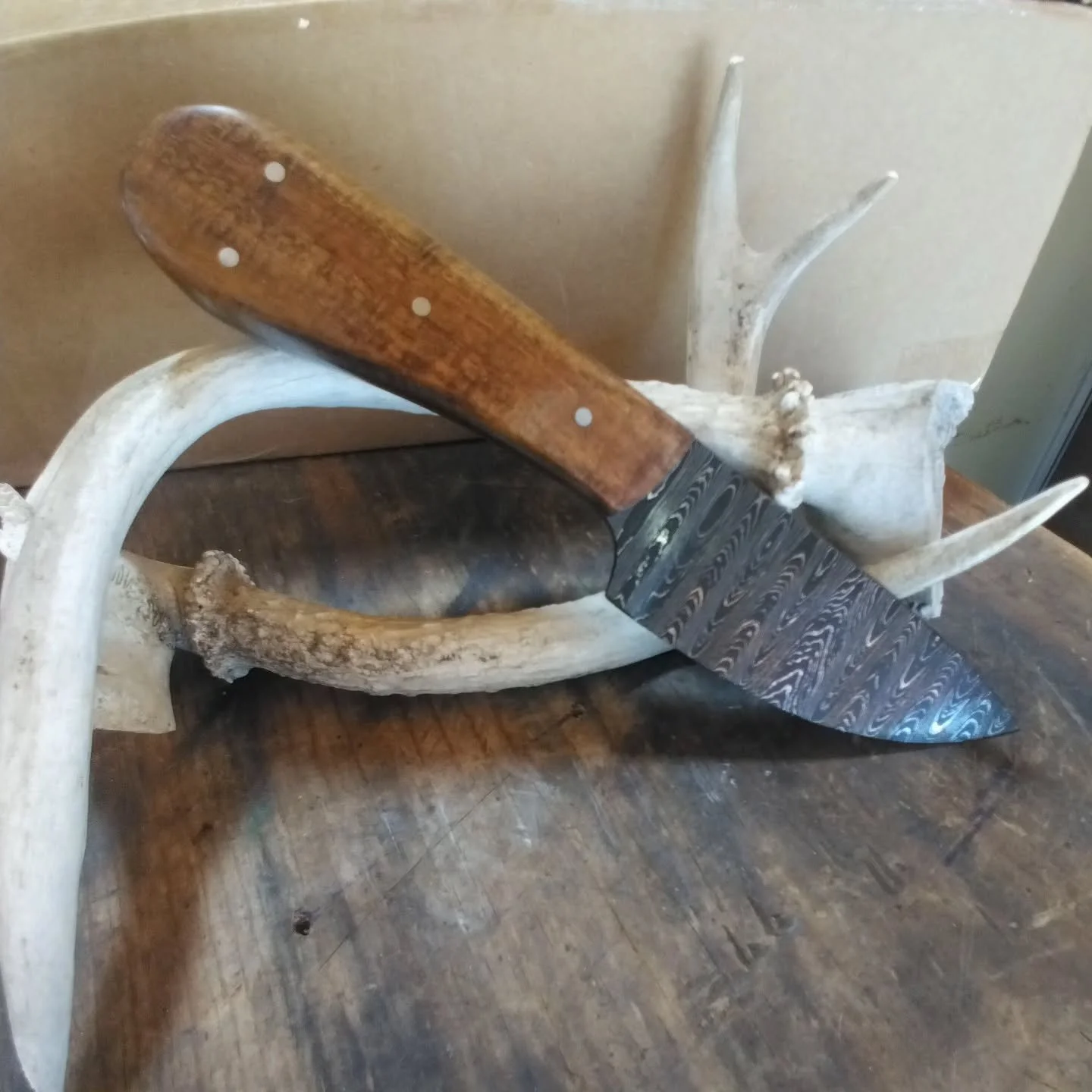 Mod3 in Damascus with Curly Acacia scales and black G10 liners, stainless pins. This will be up on the website soon, but slightly less than I wanted to ask for it. If you look closely there are tiny white specks in the wood. Tried grinding them out j