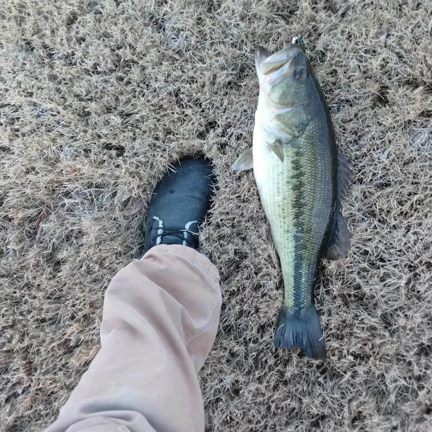 Good start to my day.