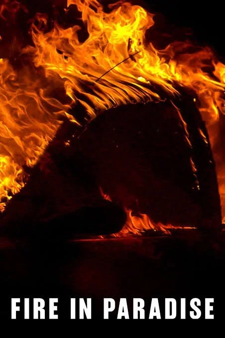 Fire in Paradise Netflix movie poster