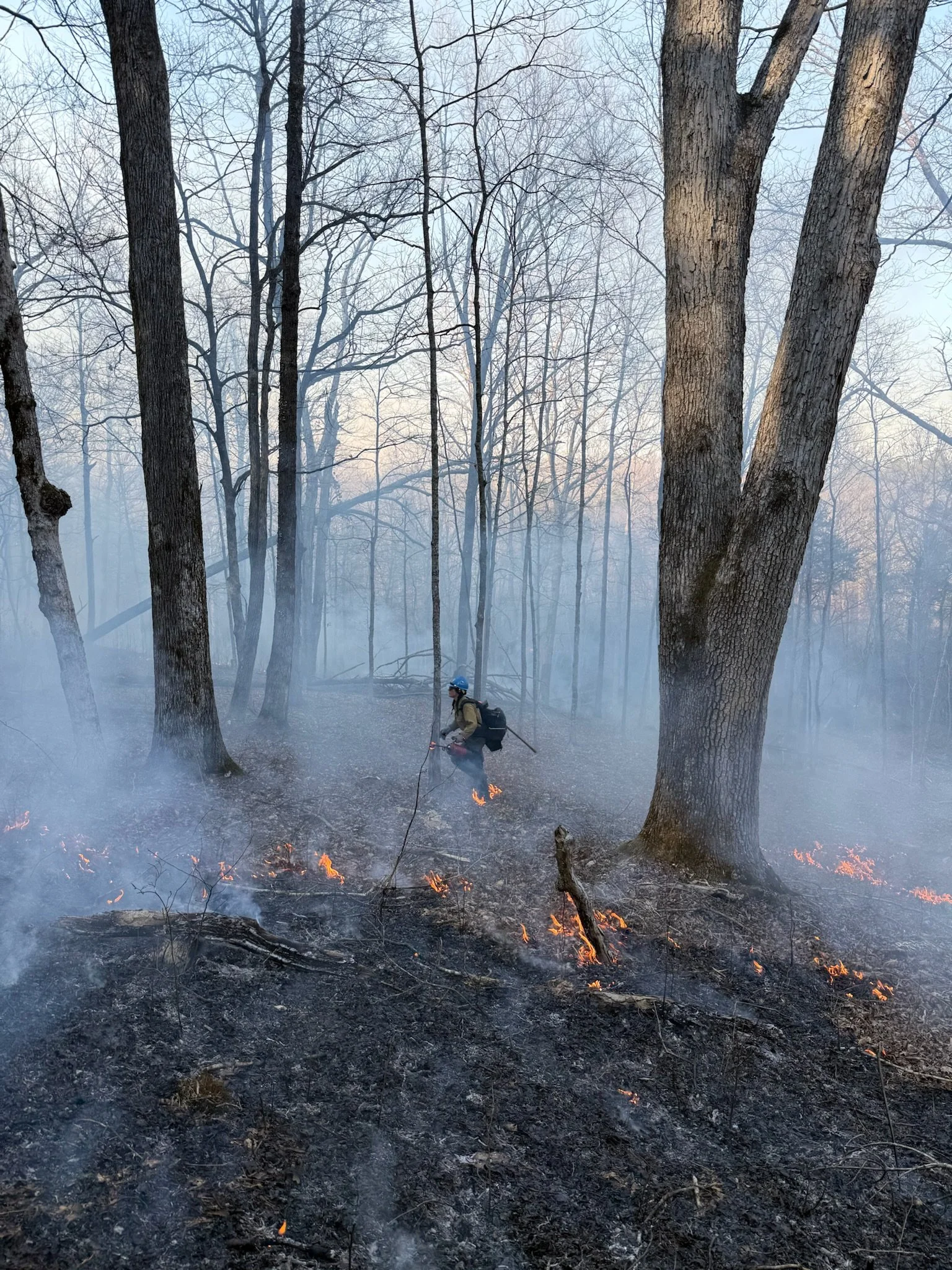 Female firefighter with drip torch and fire in the foreground