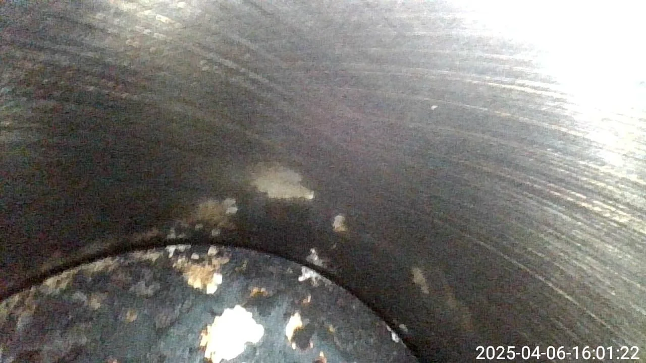 IMG-20250406-WA0010.jpg