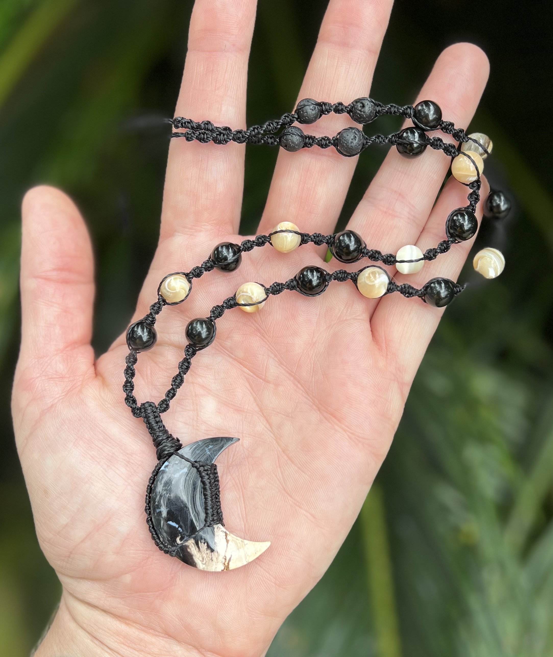 Palm moon