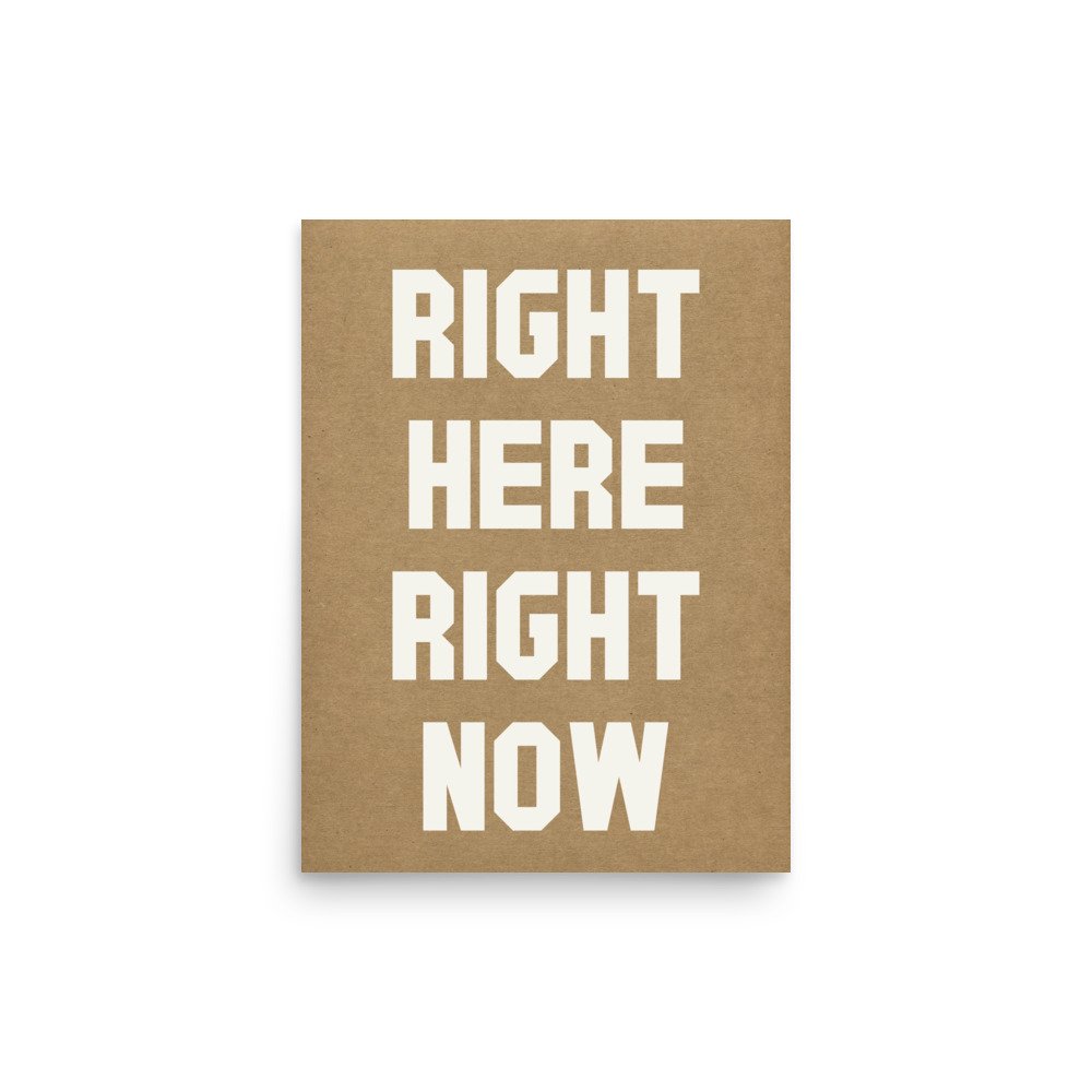 enhanced-matte-paper-poster-(in)-12x16-front-68006d0dec1e9.jpg