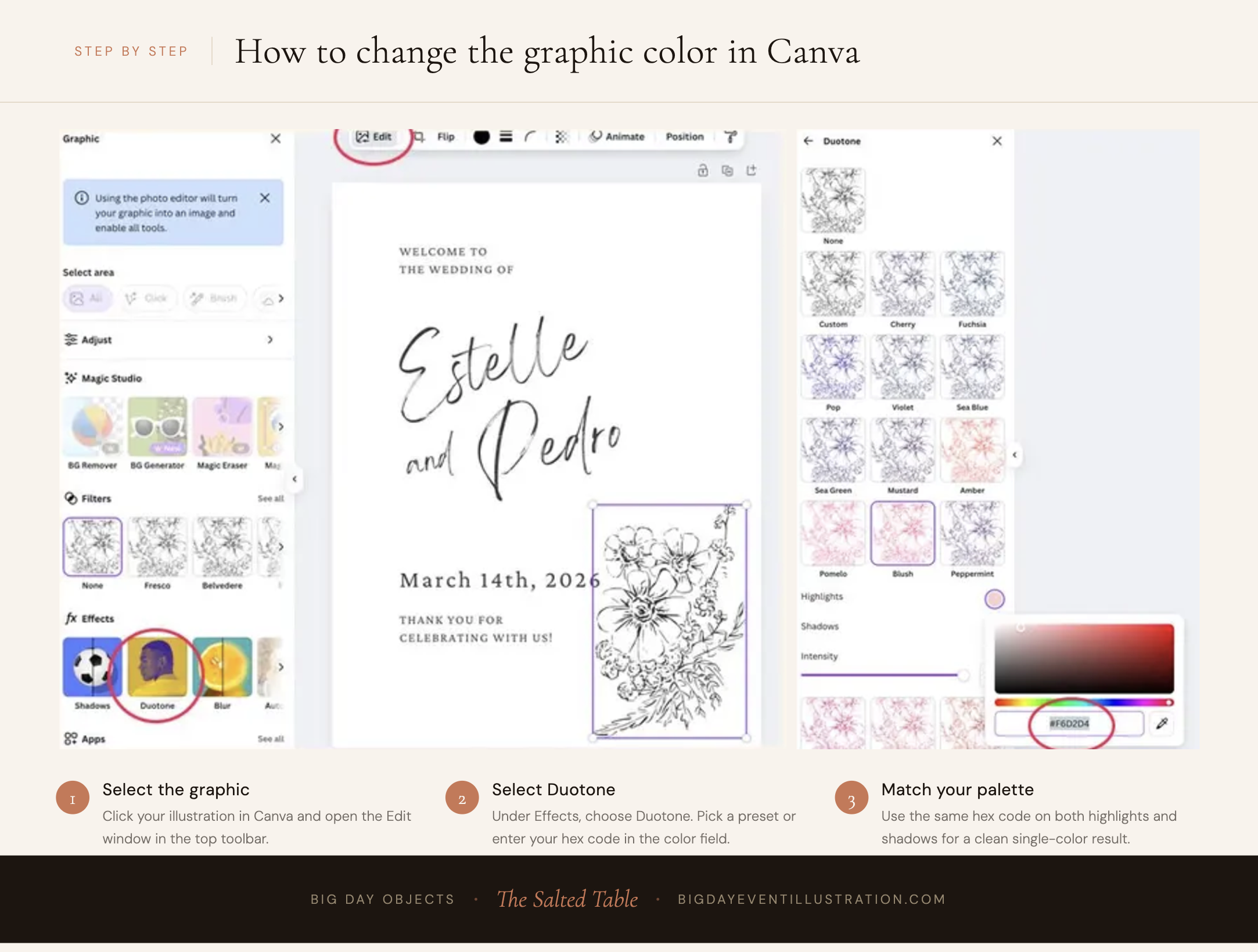 how to change clipart color in Canva seafood illustration tutorial
