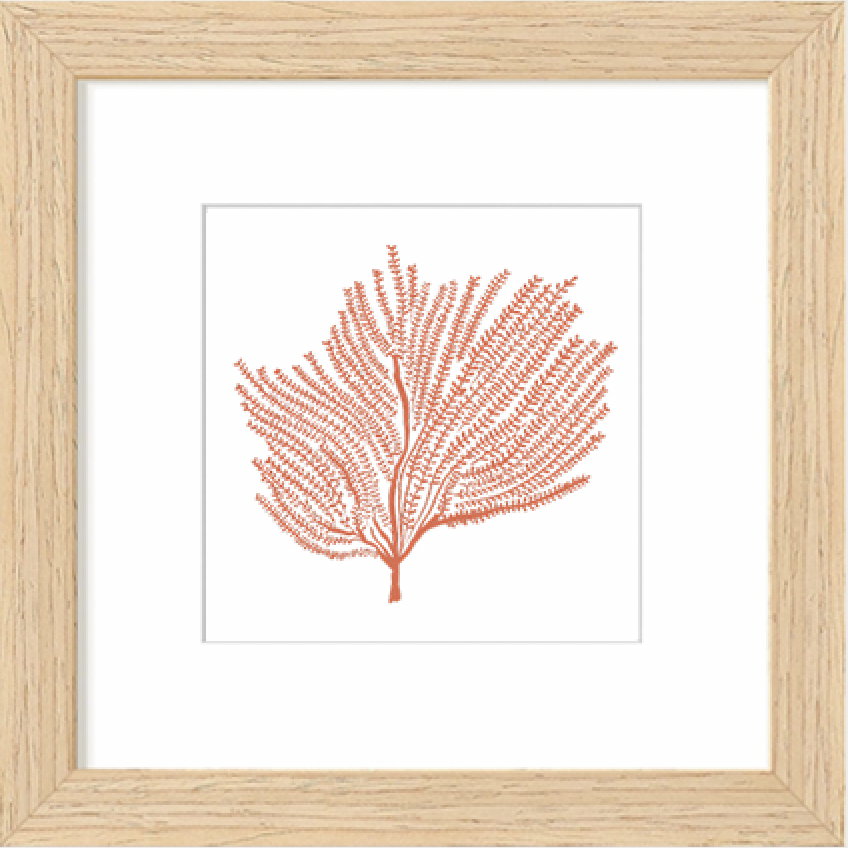 Screenshot 2026-03-24 at 8.46.59 PM.png