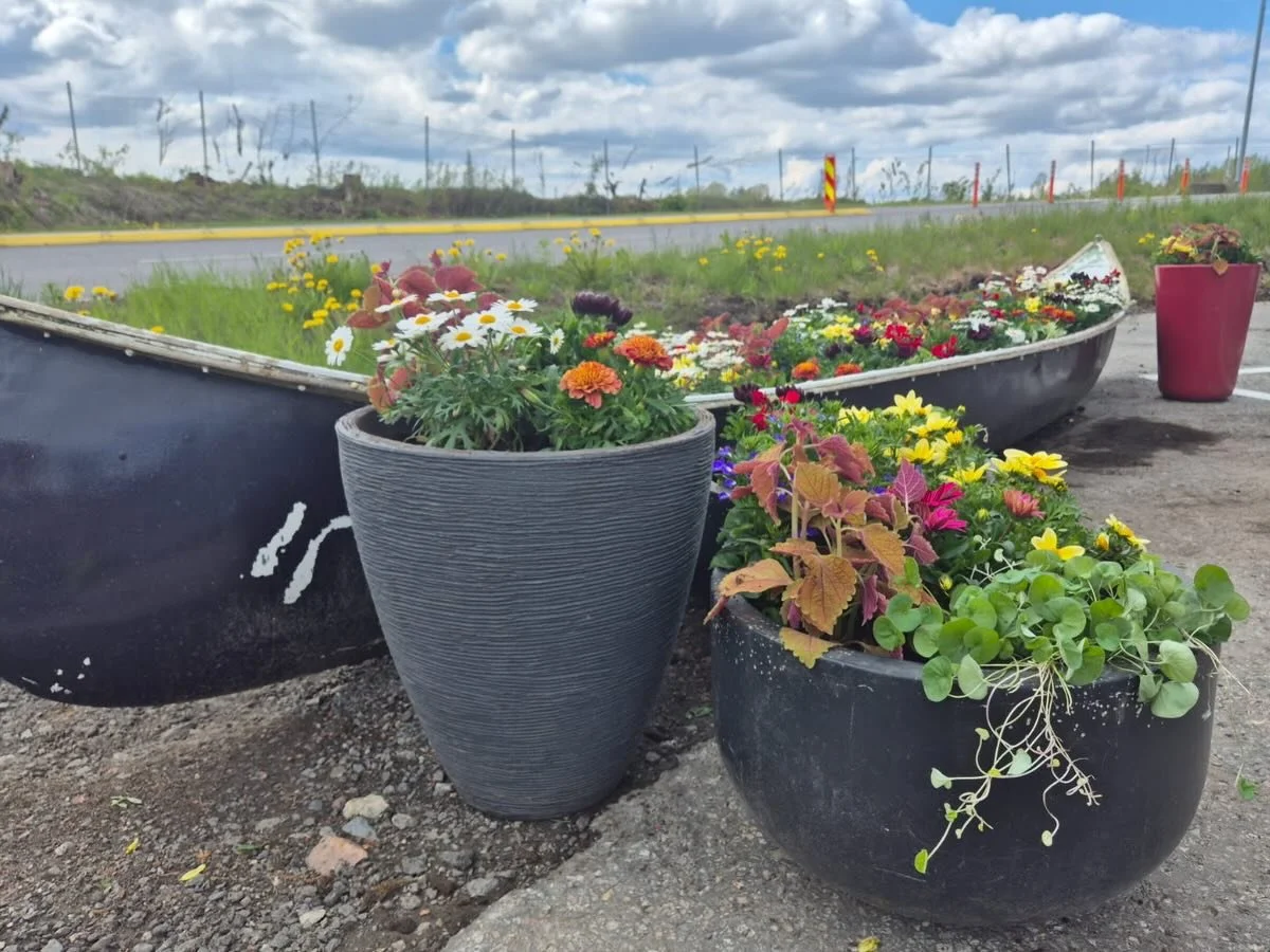 Er dette Romerikes mest fargeglade kano eller?🛶 
Vi har plantet for ROAF utenfor deres nye gjenbrukshall 🌺🌼🌸

📸: @ragnhildheiene 

#akershusgartneren 
#akershusgartnerenas 
#ROAF
#gjenbruk