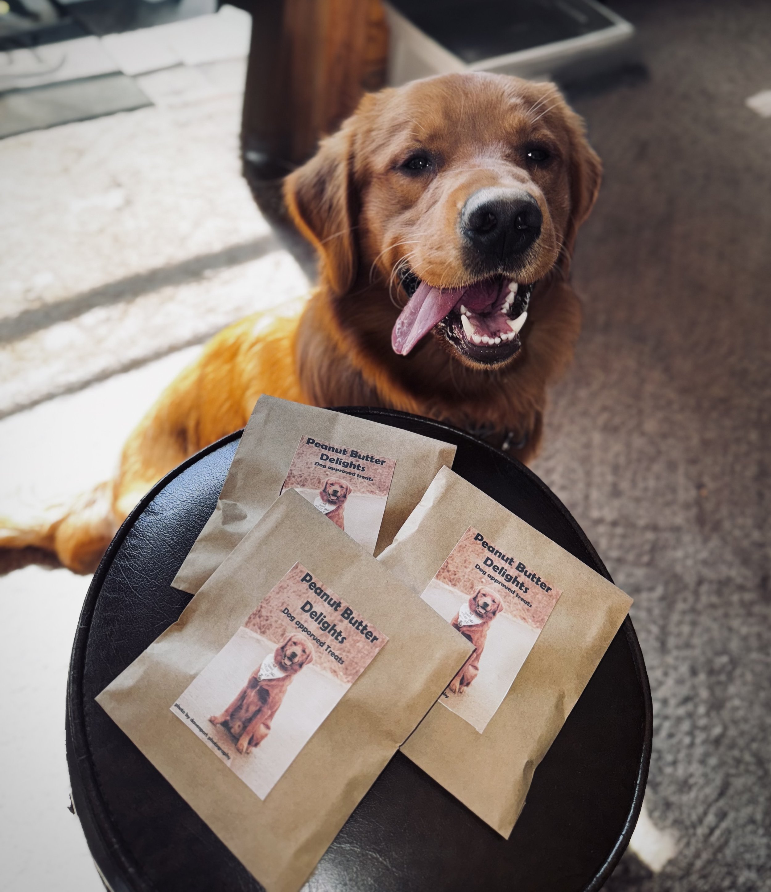 32oz Dog treat jars