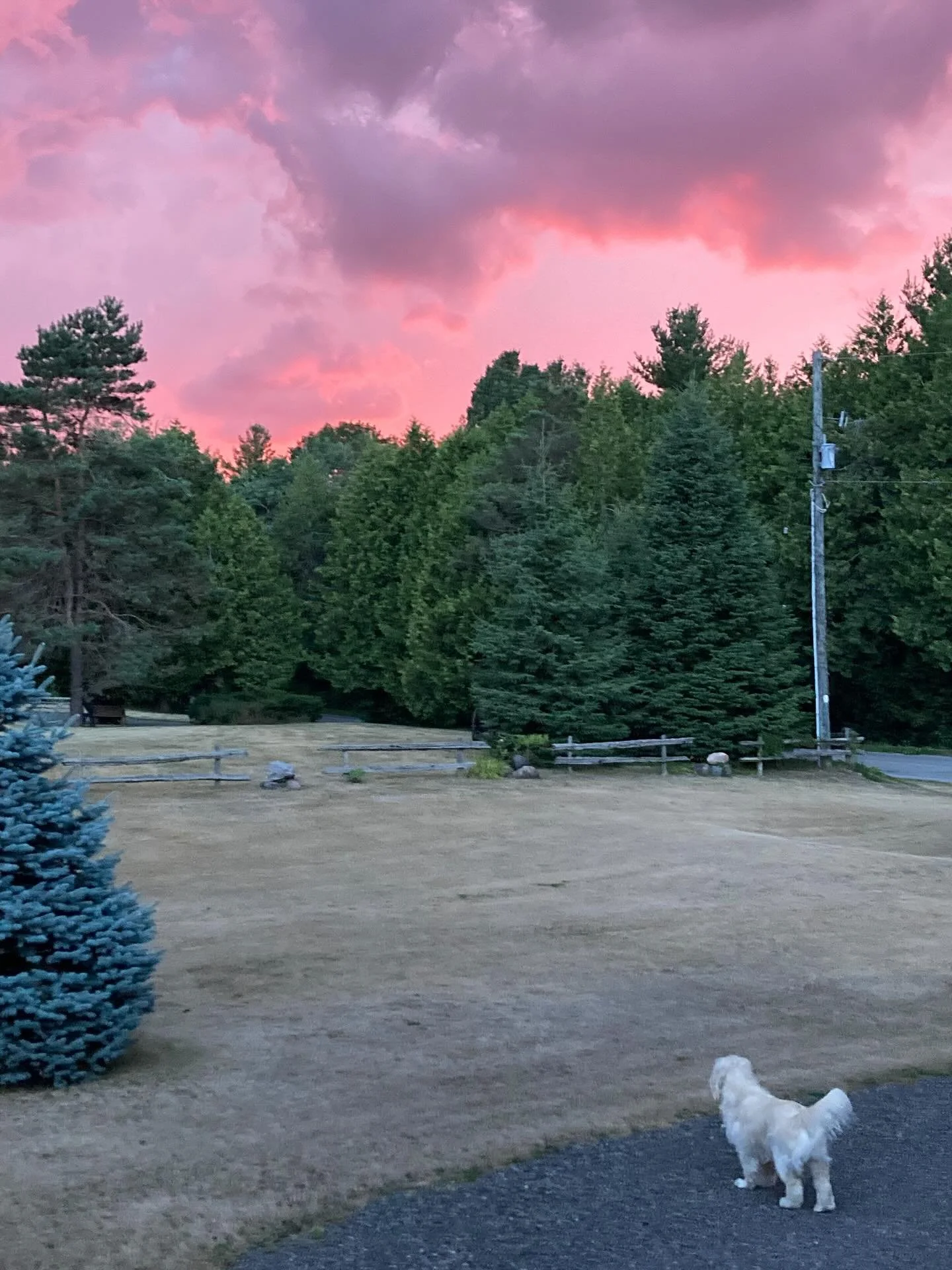 Some amazing clouds and colour &hellip; yet not a single drop of rain.  #droughtconditions