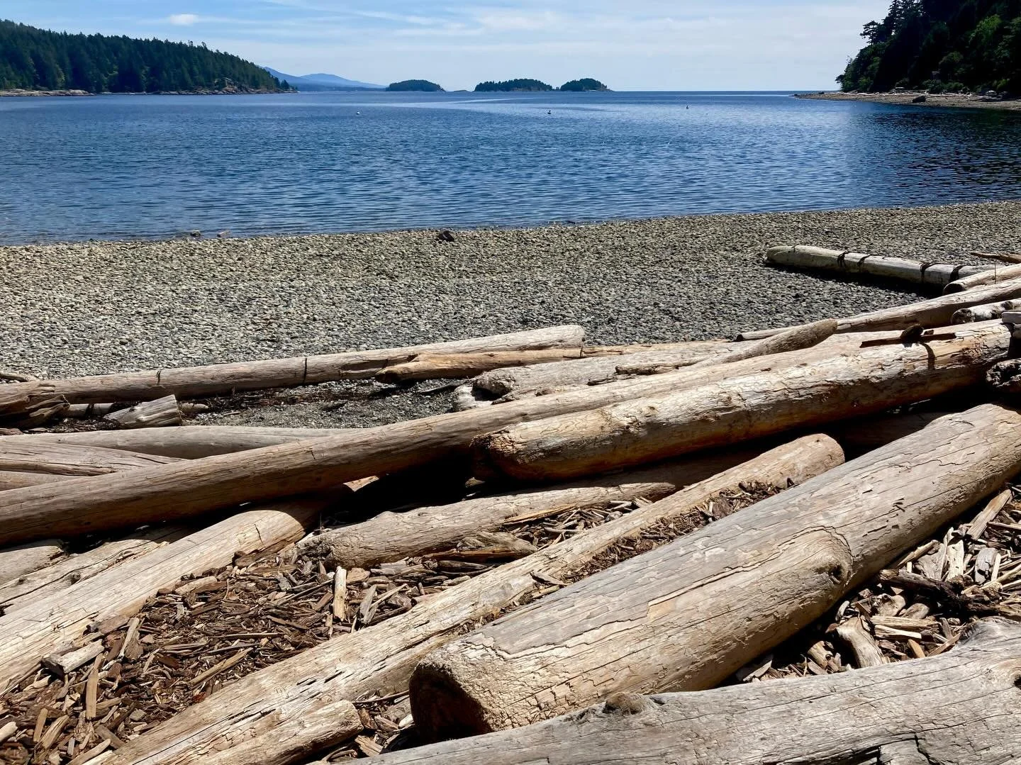 Another ferry, Sunshine Coast and old growth forests.  #wow