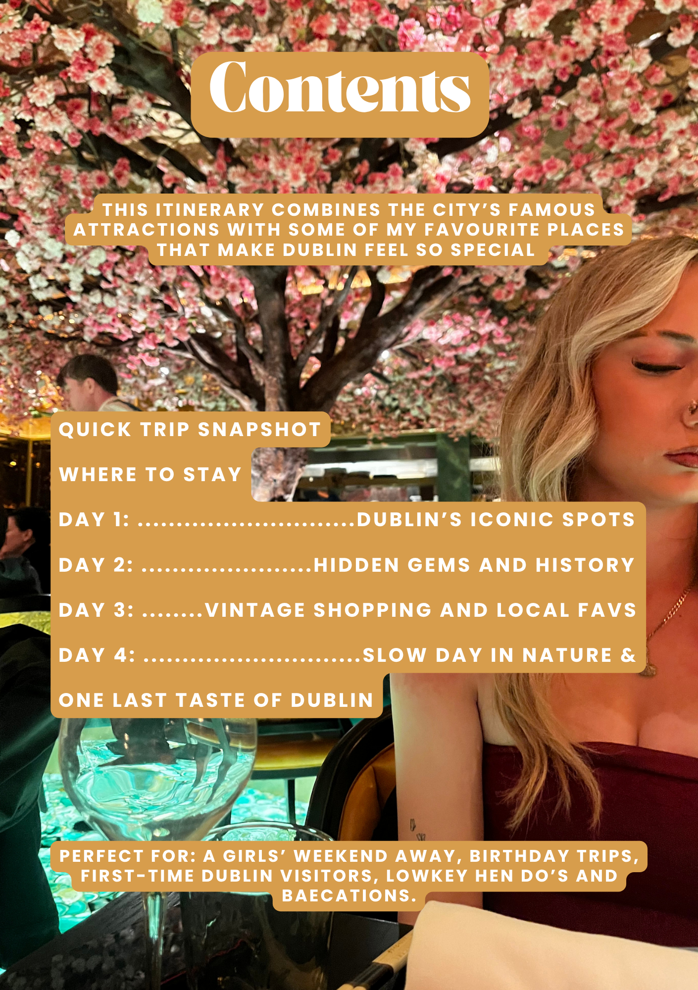 Dublin Itinerary (1).png