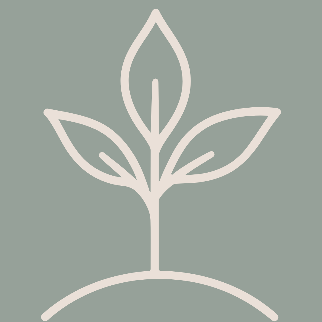 plant new growth icon