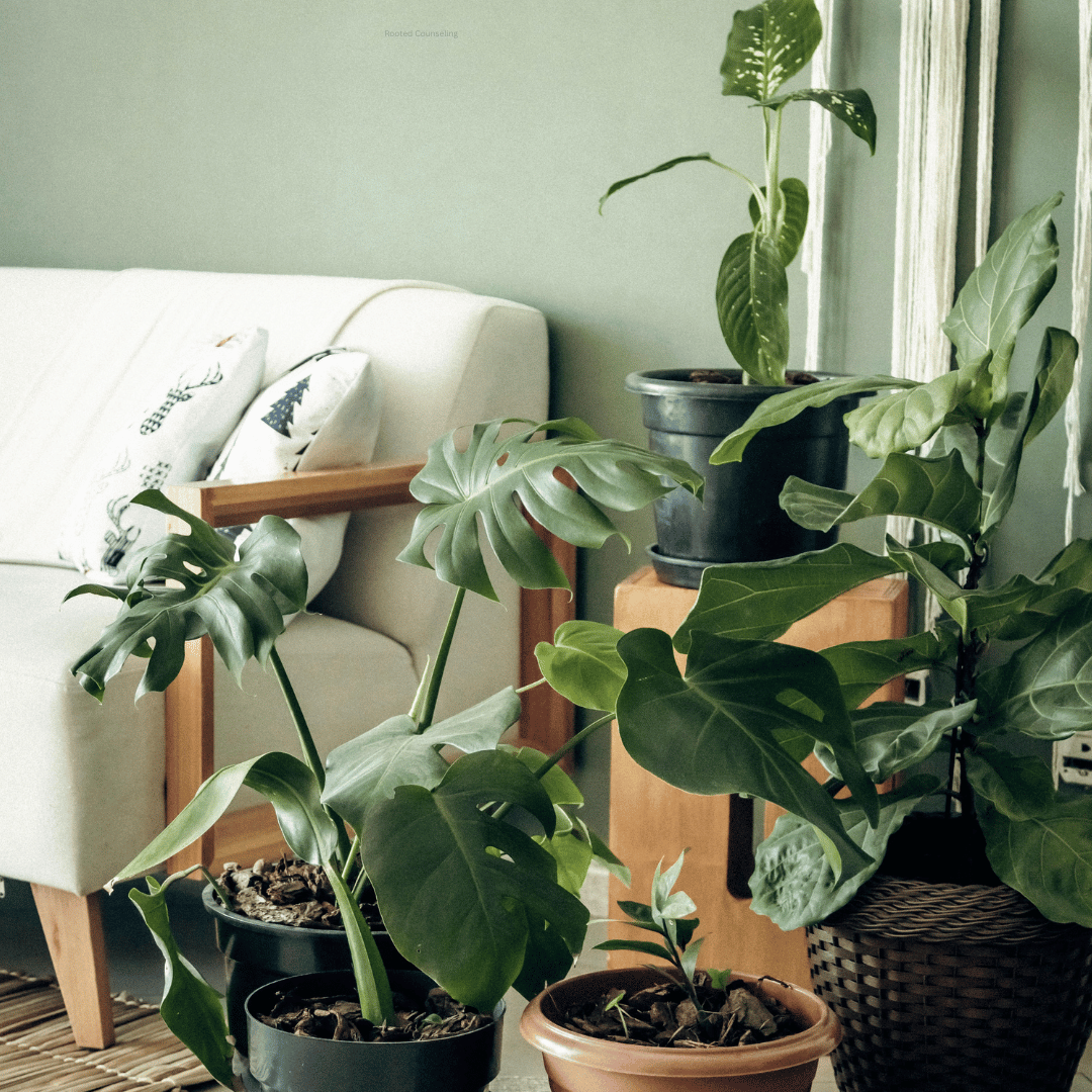 group of potted plants in therapy office in Racine, WI
