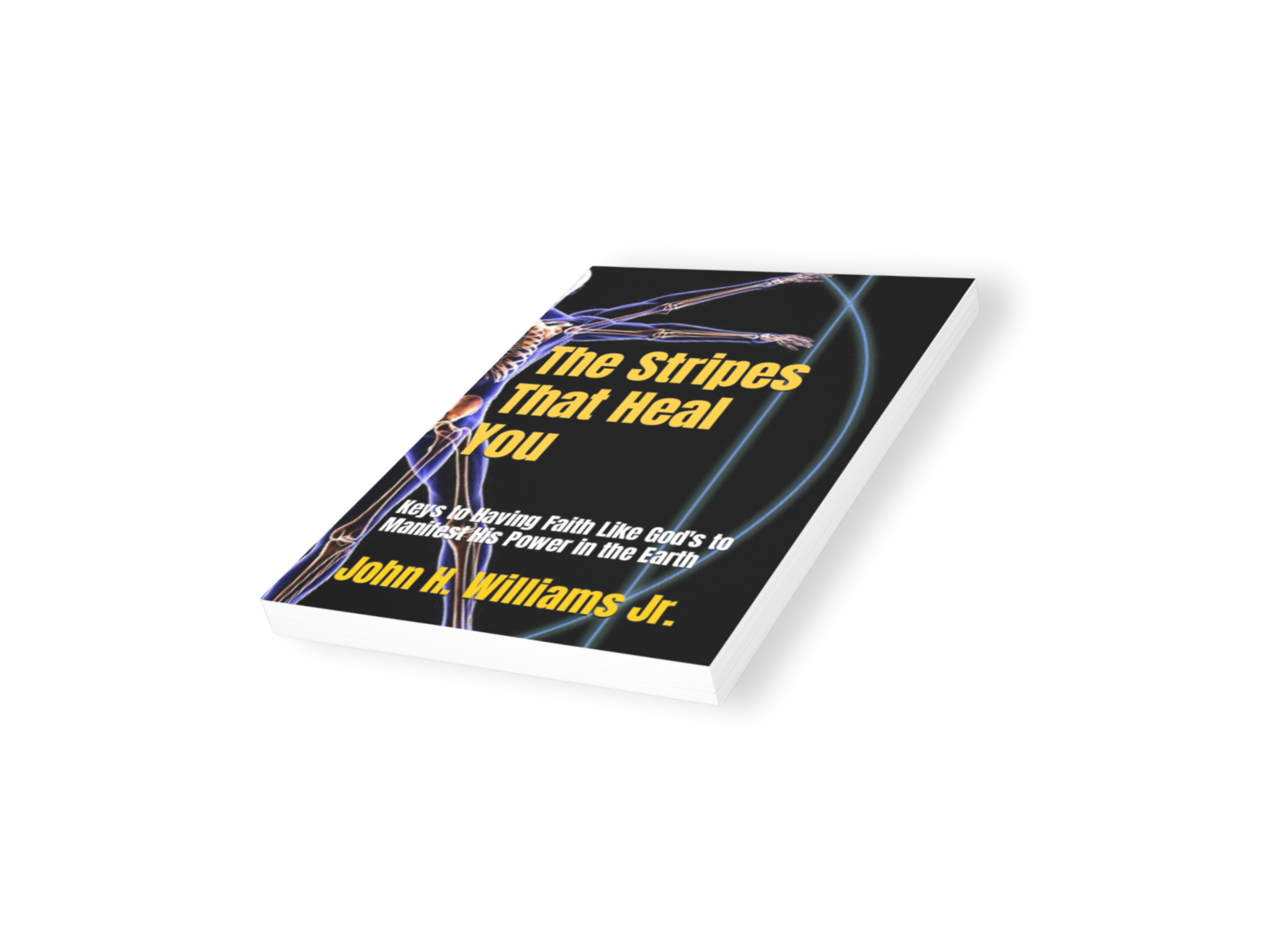 Book titled 'The Stripes That Heal You' by Pastor John H. Williams Jr., with a cover design featuring colorful cycles or loops.