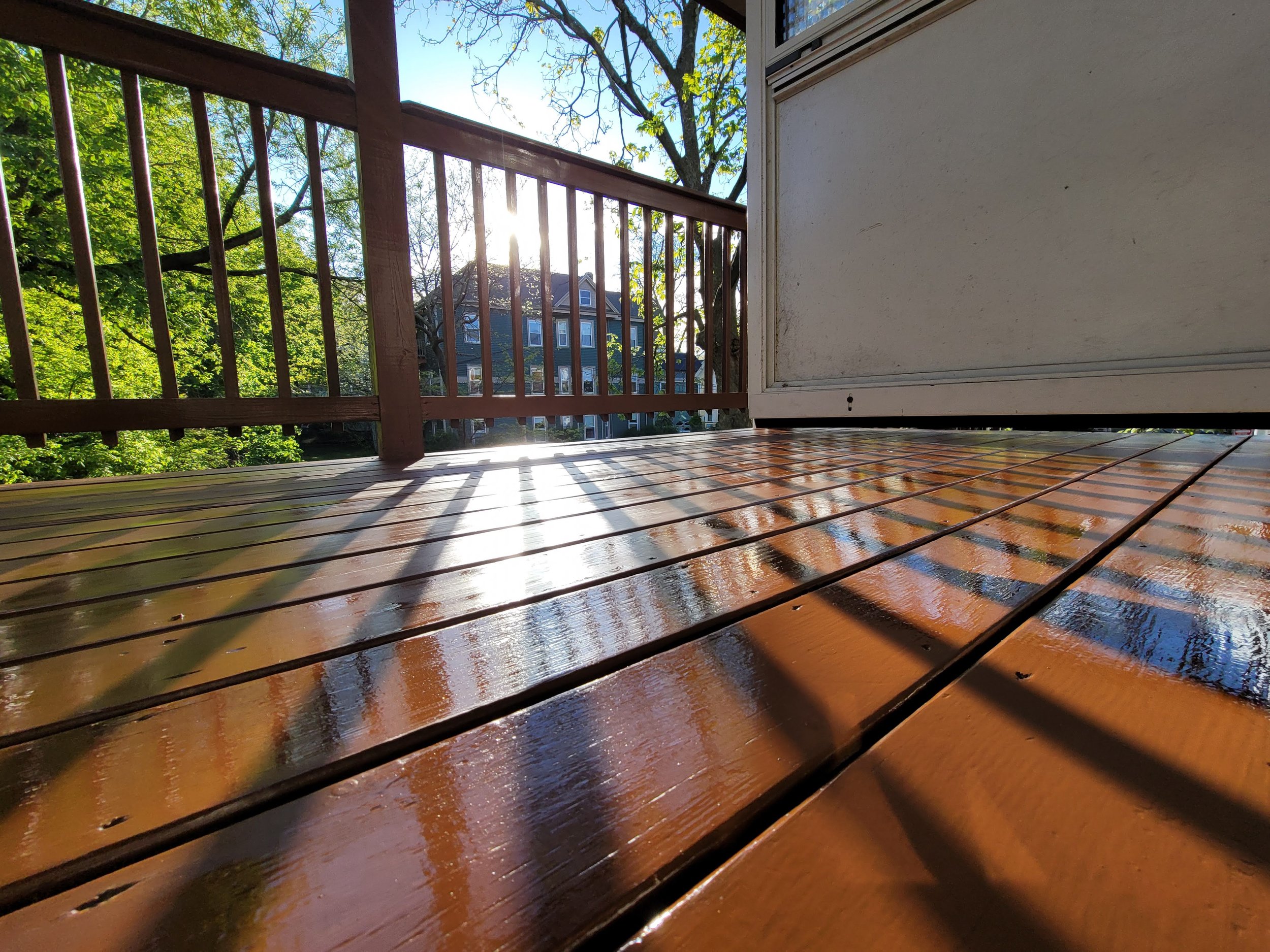 Wooden deck floor on Poplar St, Roslindale with reflections of sunlight and surrounding trees.