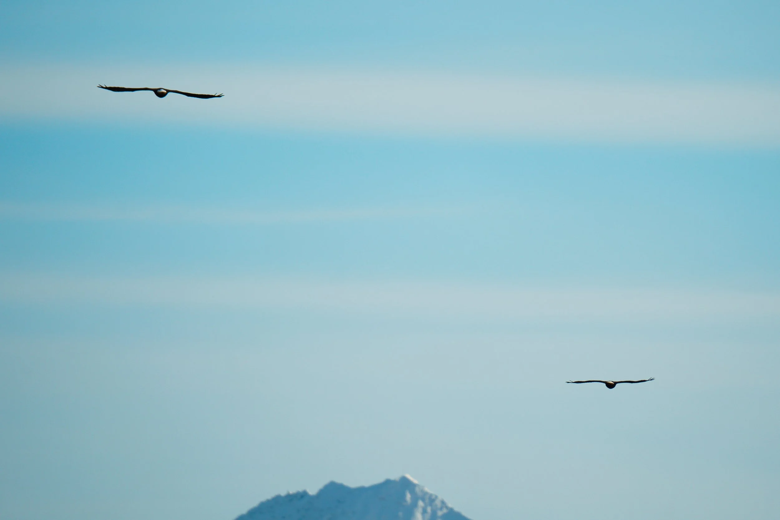 A7300205.jpg