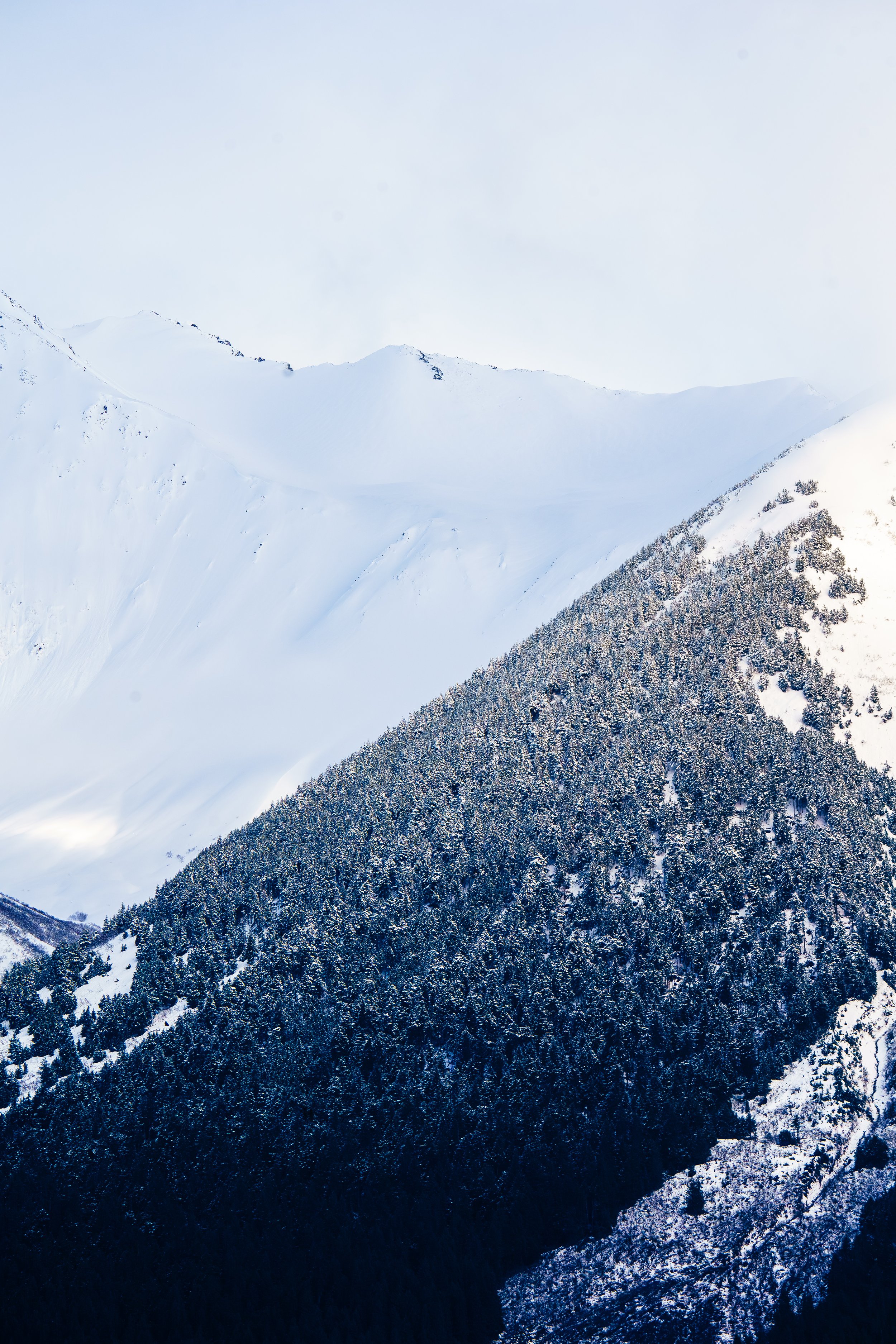 A7309521-Enhanced-NR.jpg