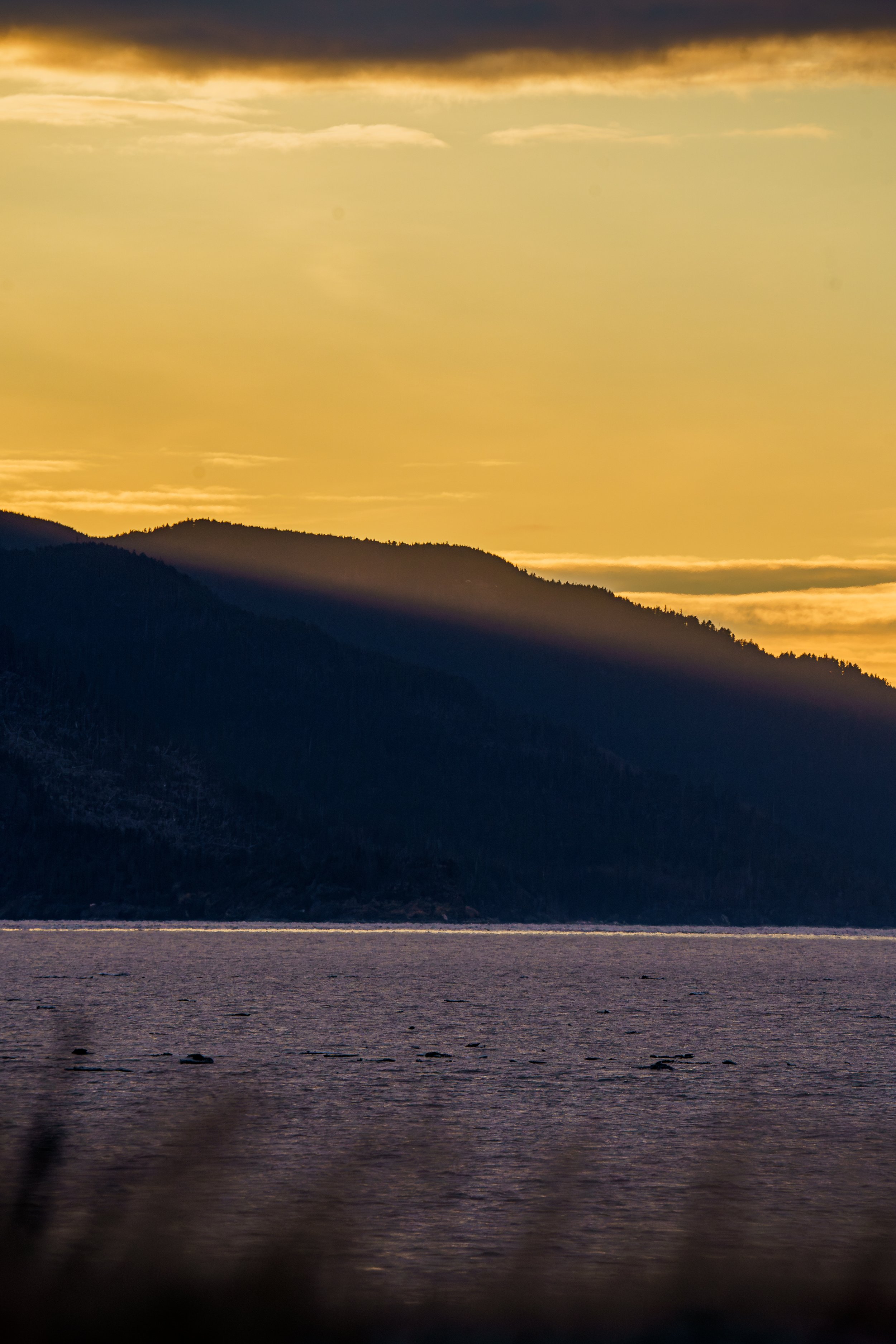 A7308990-Enhanced-NR.jpg
