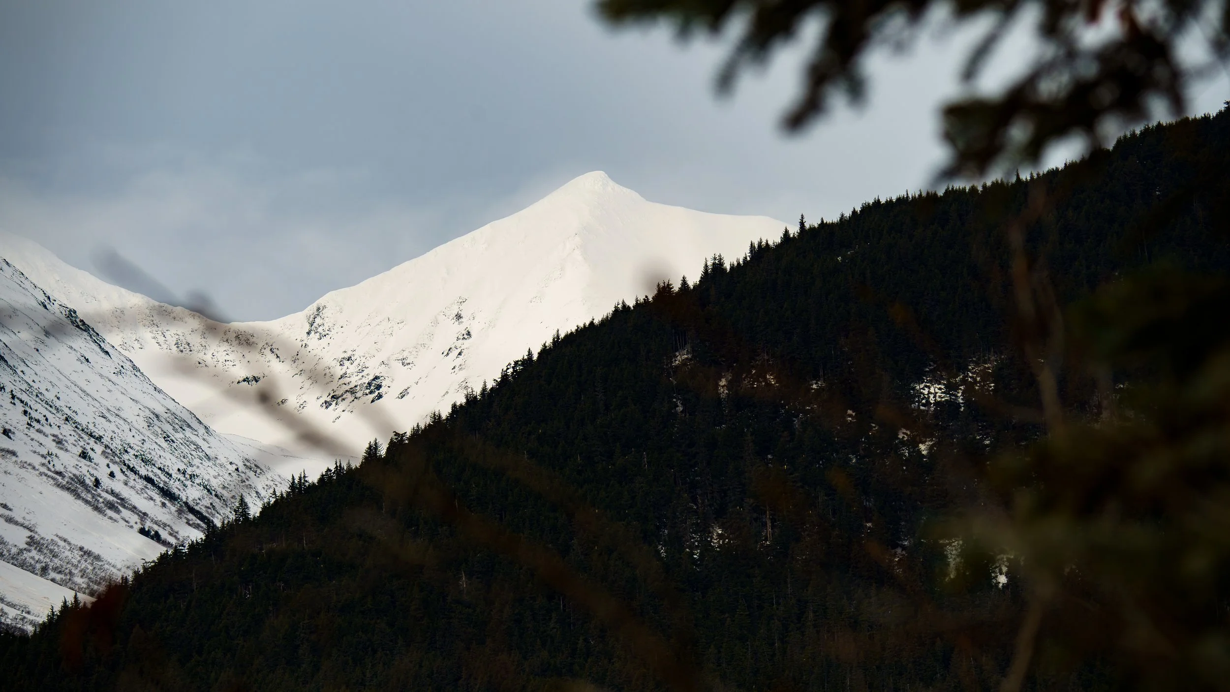 A7308969-Enhanced-NR.jpg