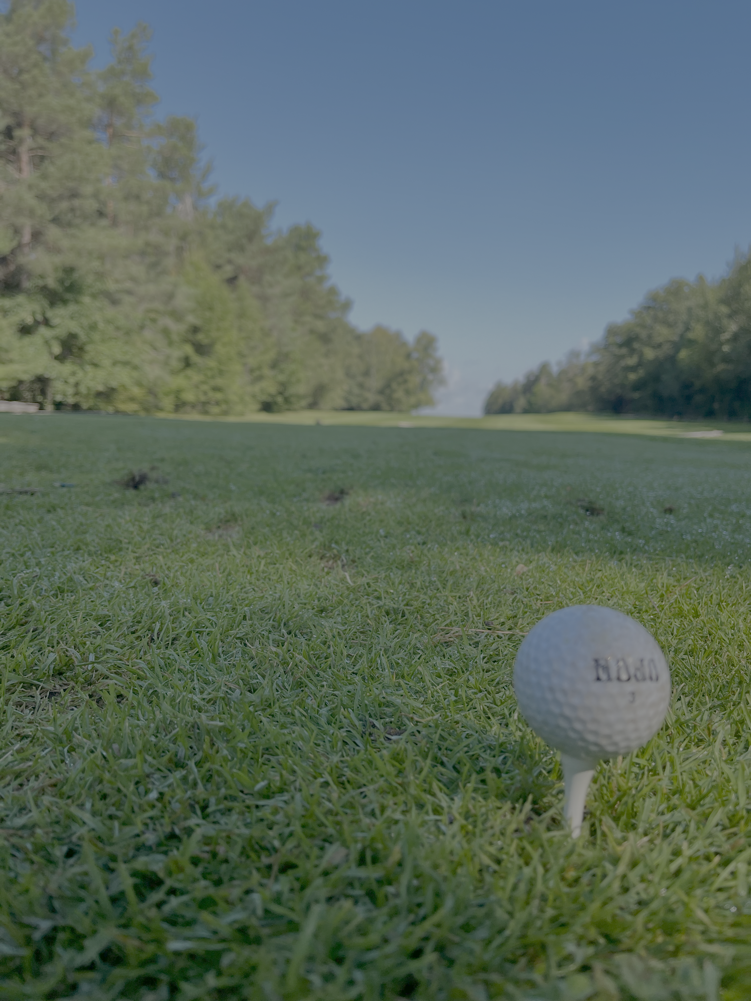 Golf ball - golfing - bookkeeper for golf inductry