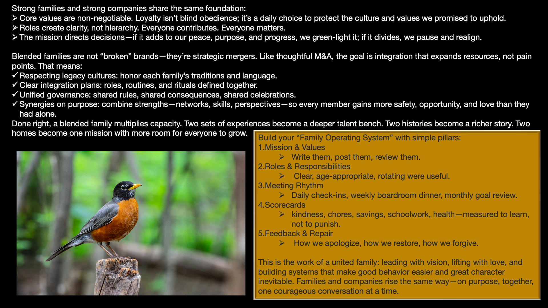 Text on the screen discusses core values, roles, purpose, and strategies for strong family and company foundations, emphasizing loyalty, clarity, shared governance, and synergy. It mentions blending families, strategic mergers, and building a family operating system with pillars including mission and values, roles and responsibilities, meeting routines, scorecards, and feedback. There is also a photo of a bird, specifically a robin, perched on a tree stump with a blurred green natural background.