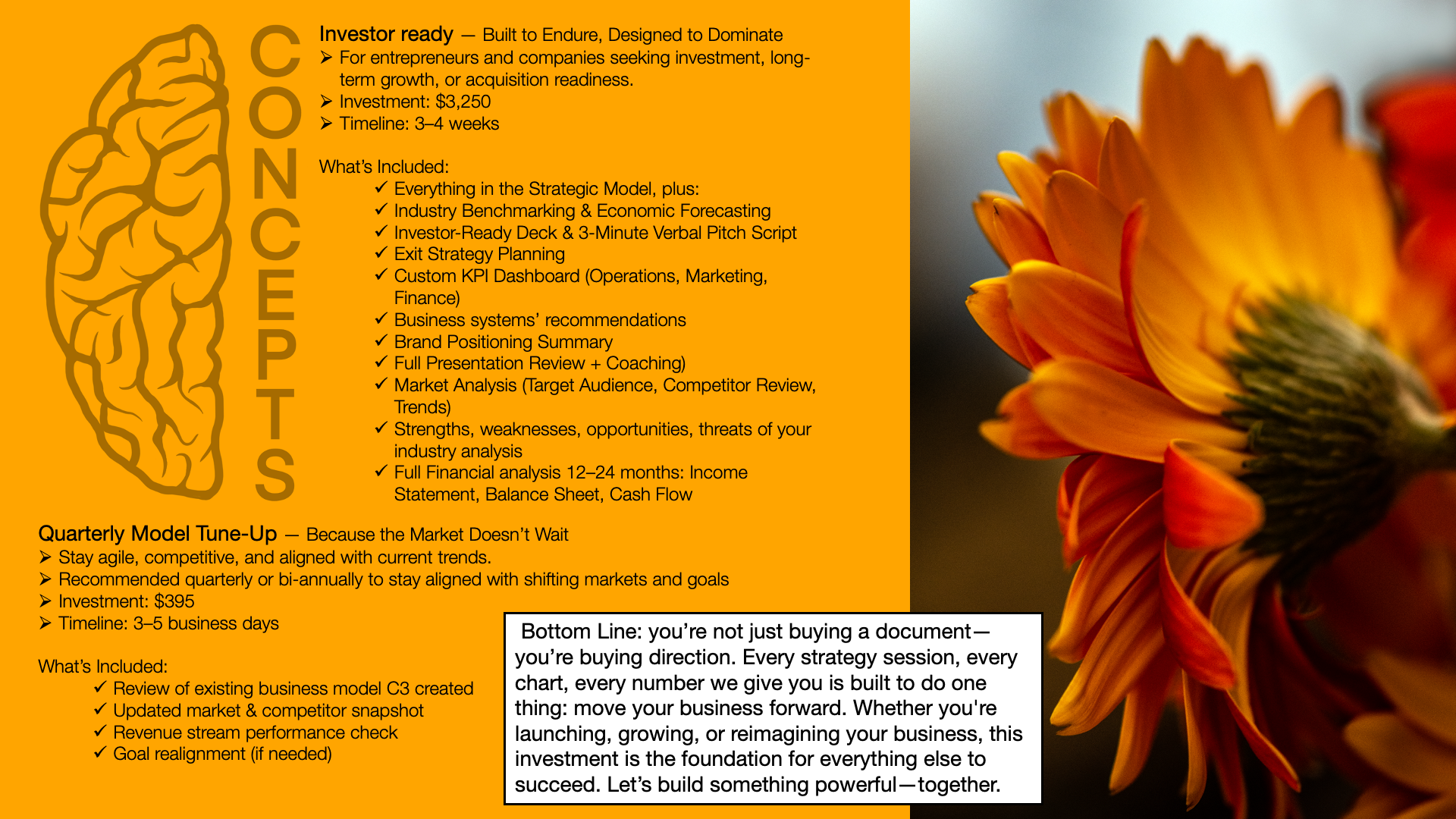 Infographic with orange background and black text about business consulting services, including details about strategic model, market analysis, and financial review, next to a close-up of orange and yellow flowers.