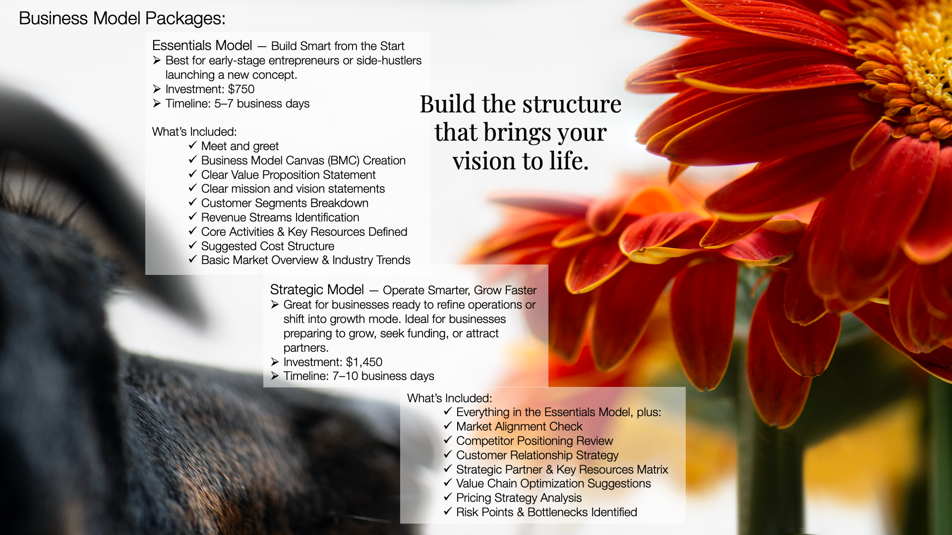 A presentation slide outlining business model packages, including Essentials and Strategic models, with descriptions, investment costs, and what's included, overlaid on a background of a large orange flower.