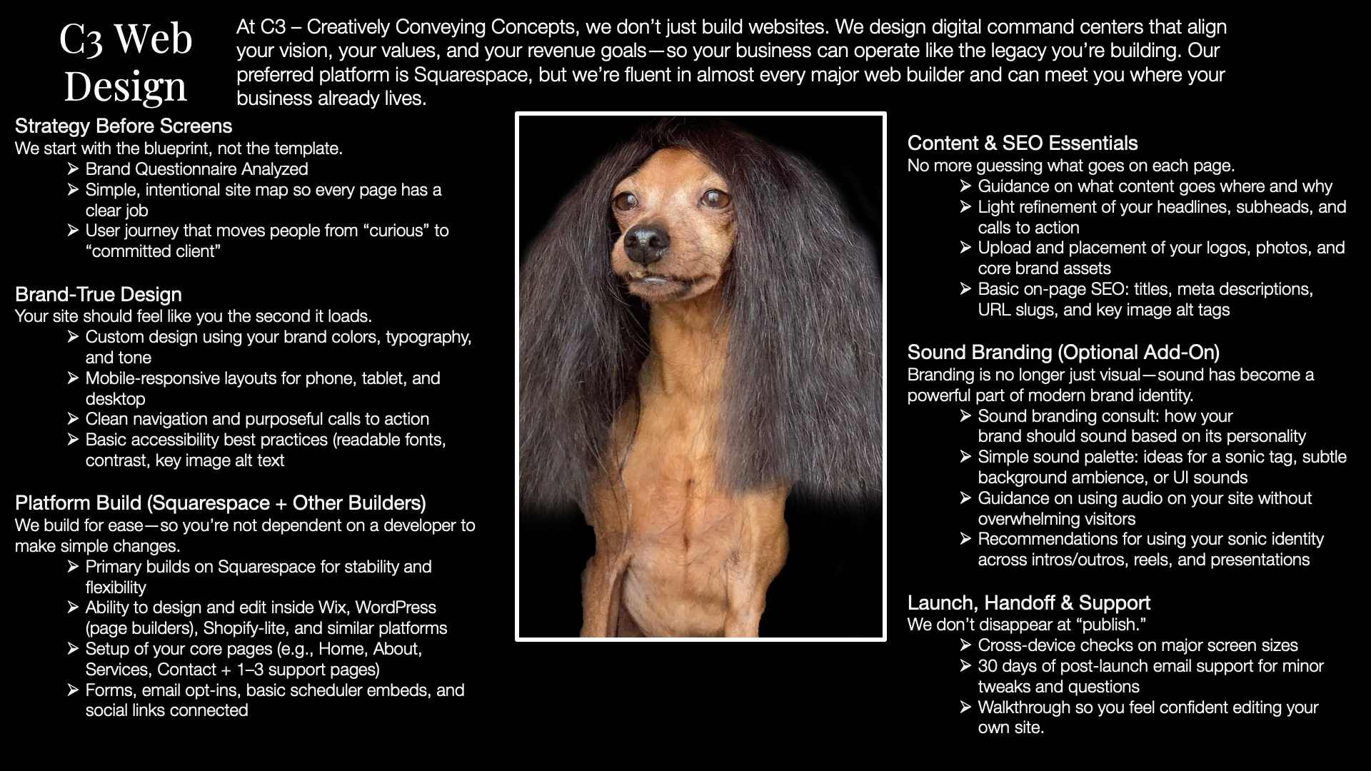 A webpage detailing services offered by C3 Web Design, including strategy planning, brand design, platform building, content SEO, sound branding, and support. The page features a central image of a dog with long, dark hair, and text sections on the left and right of the dog providing information about each service.